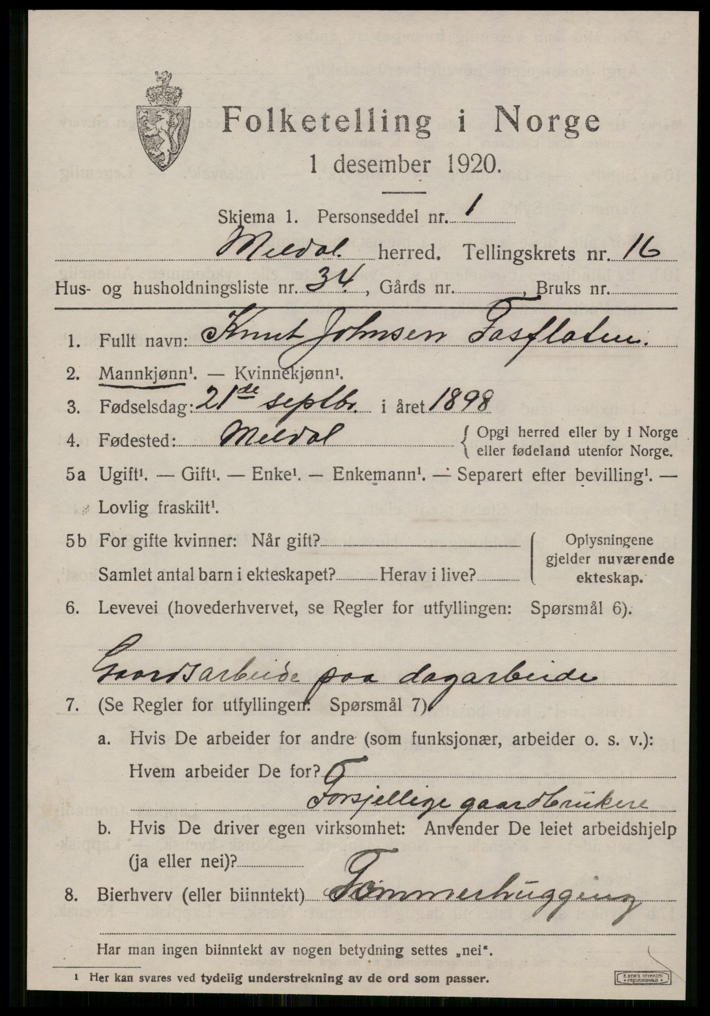 SAT, 1920 census for Meldal, 1920, p. 11119