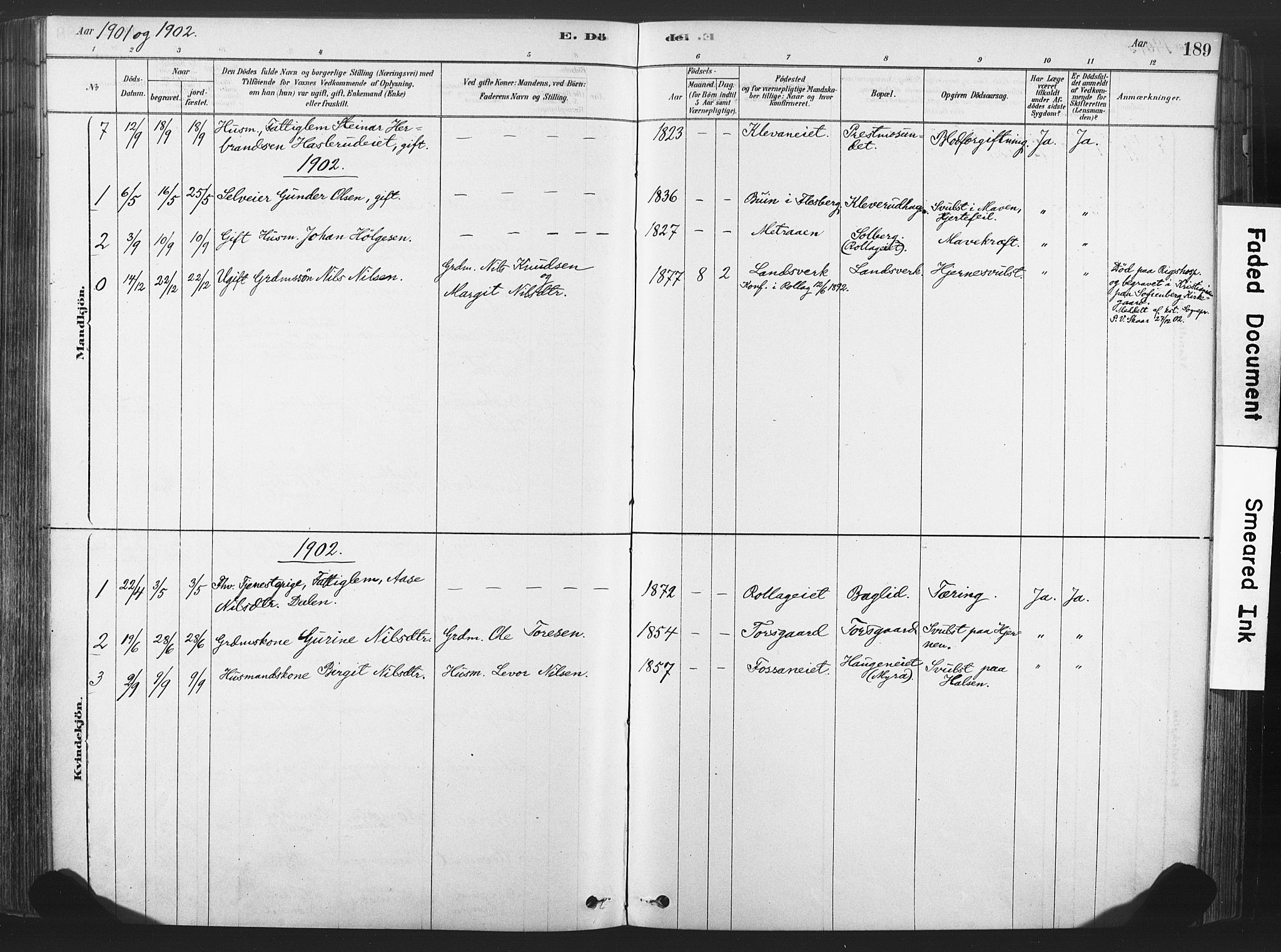 Rollag kirkebøker, SAKO/A-240/F/Fa/L0011: Parish register (official) no. I 11, 1878-1902, p. 189