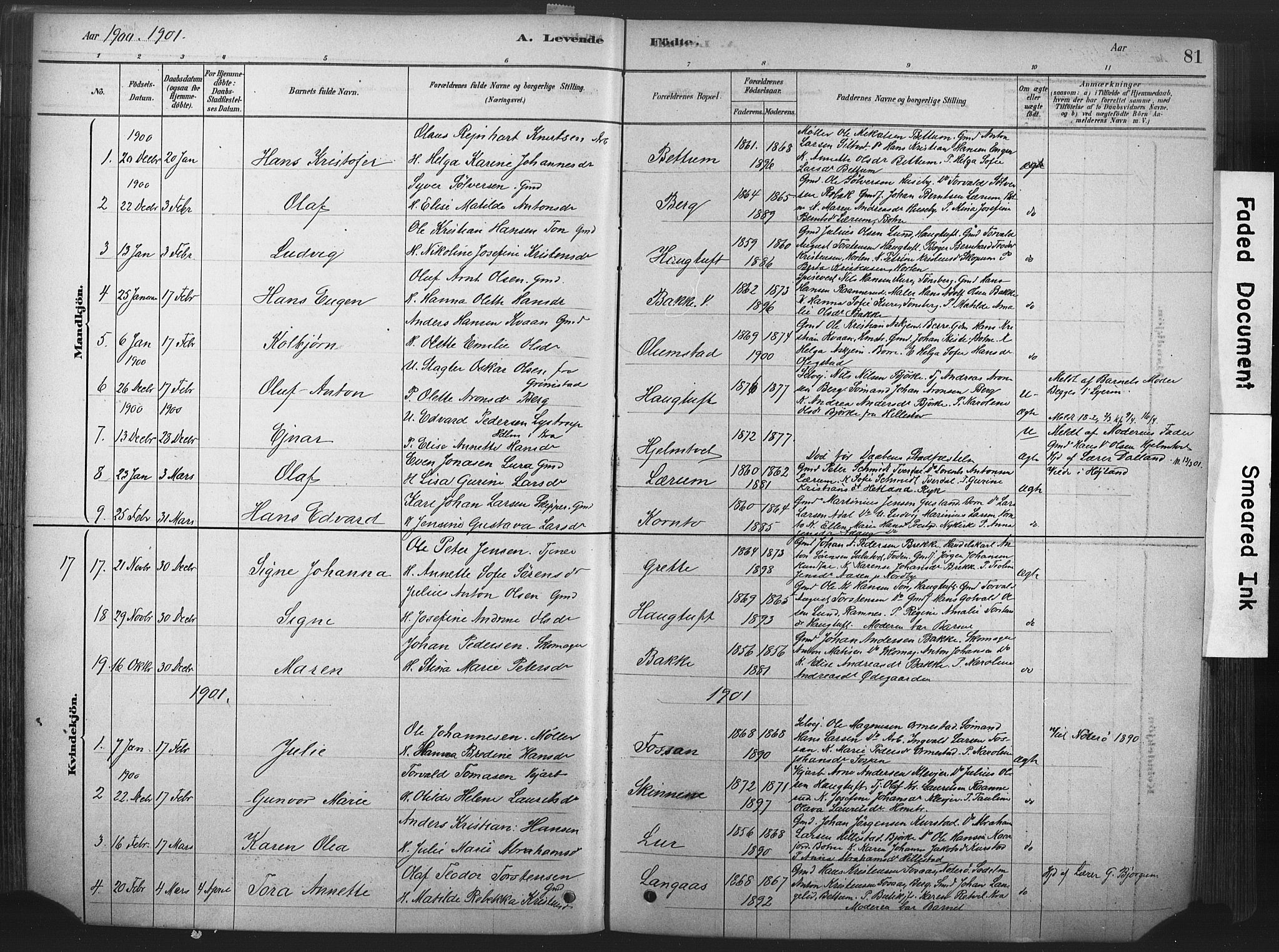 Våle kirkebøker, AV/SAKO-A-334/F/Fa/L0011: Parish register (official) no. I 11, 1878-1906, p. 81