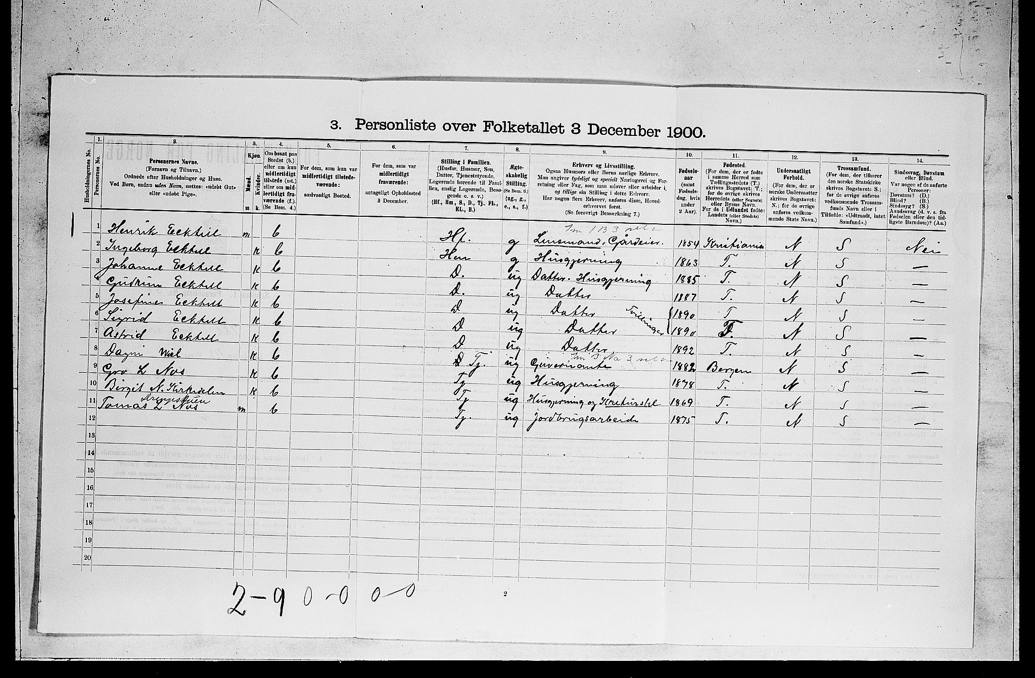 RA, 1900 census for Ål, 1900, p. 1065