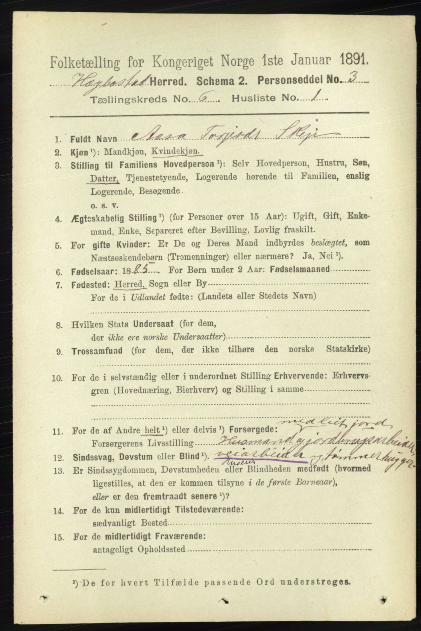 RA, 1891 census for 1034 Hægebostad, 1891, p. 1846