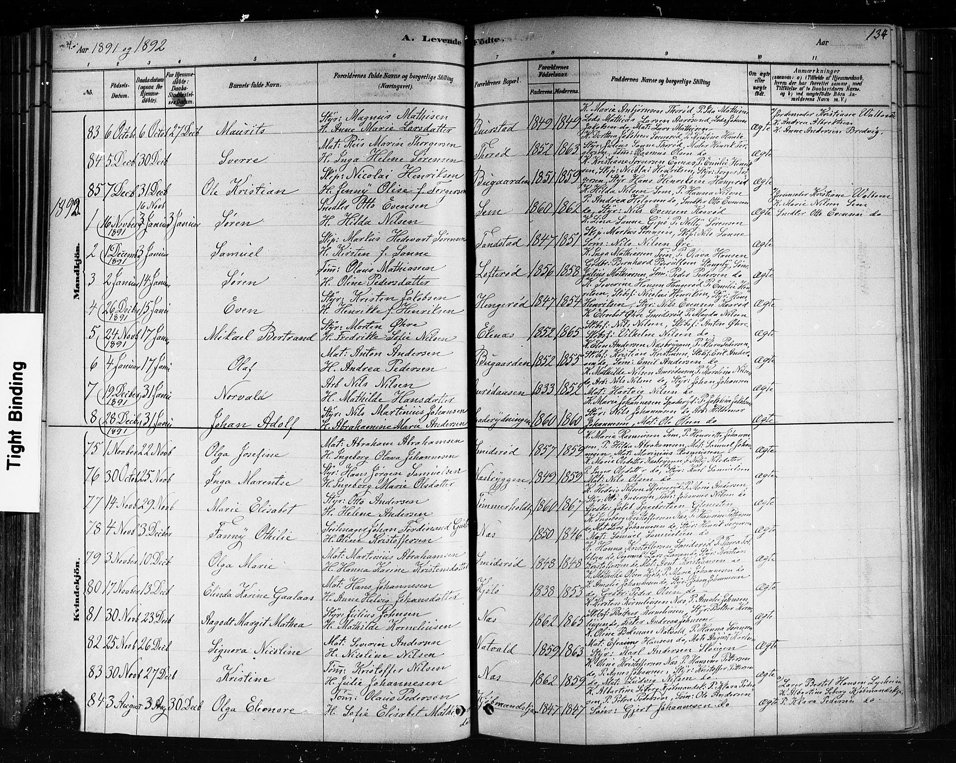 Nøtterøy kirkebøker, AV/SAKO-A-354/F/Fa/L0008: Parish register (official) no. I 8, 1878-1893, p. 134