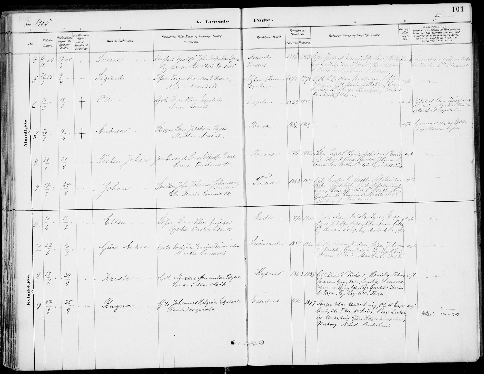 Strandebarm sokneprestembete, AV/SAB-A-78401/H/Haa: Parish register (official) no. E  1, 1886-1908, p. 101