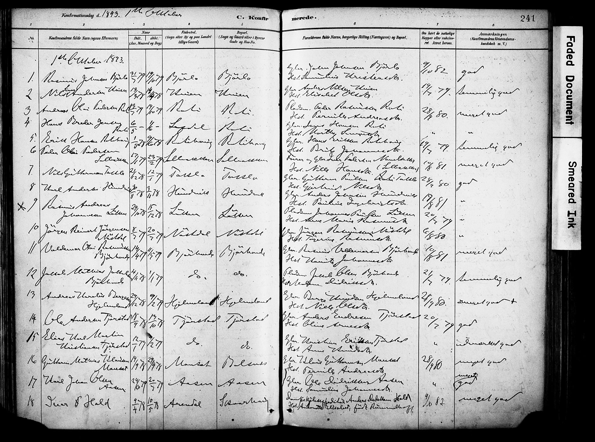 Eid sokneprestembete, SAB/A-82301/H/Haa/Haab/L0001: Parish register (official) no. B 1, 1879-1906, p. 241