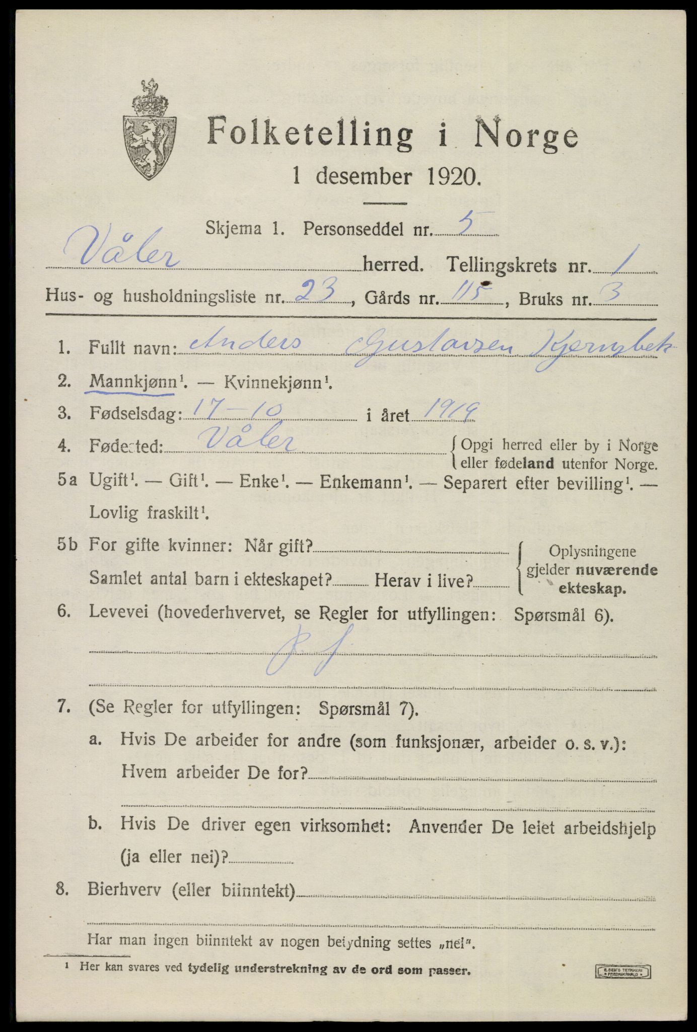 SAO, 1920 census for Våler, 1920, p. 1174