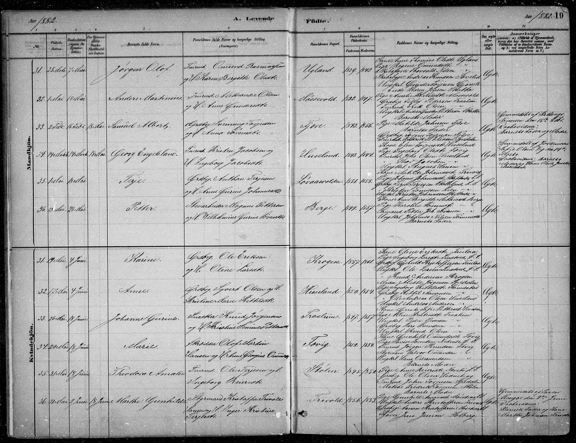 Fjære sokneprestkontor, AV/SAK-1111-0011/F/Fb/L0011: Parish register (copy) no. B 11, 1881-1905, p. 19