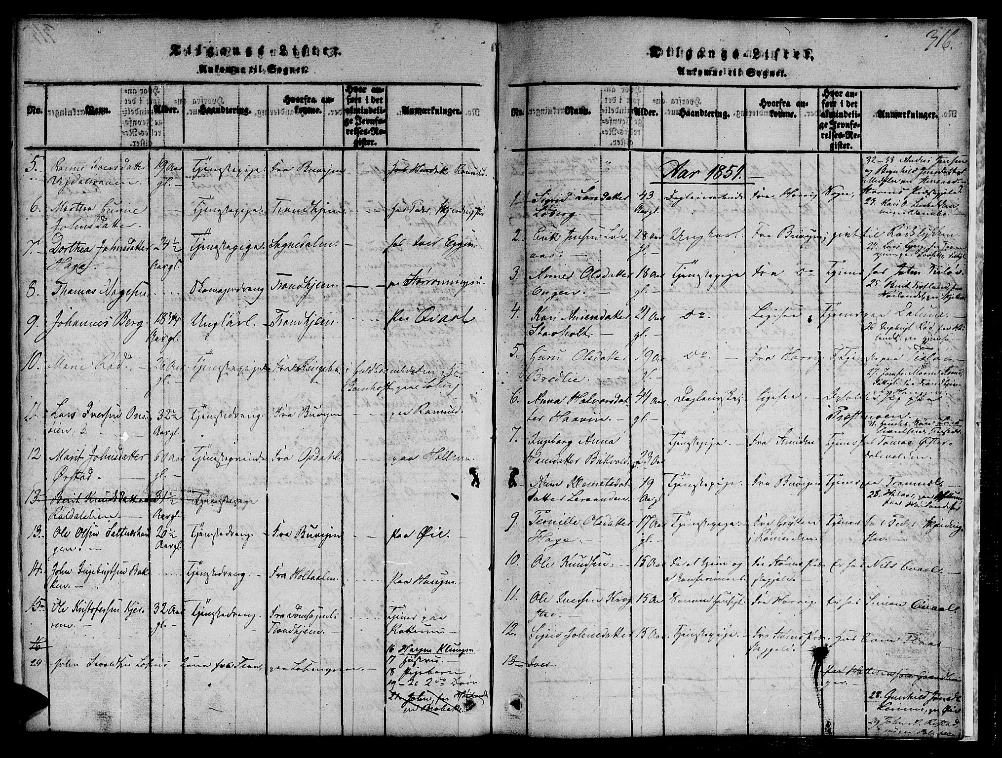 Ministerialprotokoller, klokkerbøker og fødselsregistre - Sør-Trøndelag, SAT/A-1456/691/L1092: Parish register (copy) no. 691C03, 1816-1852, p. 316