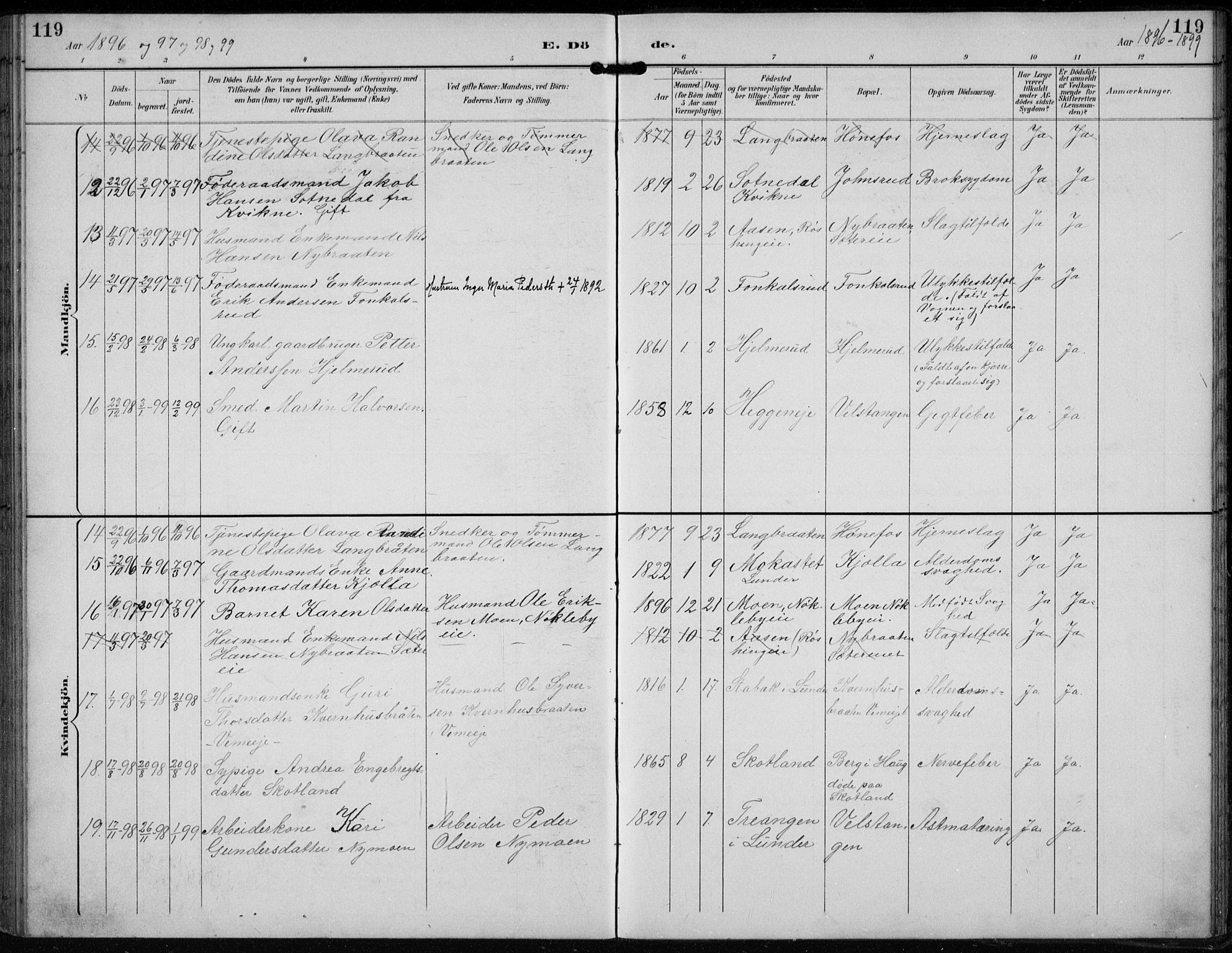 Lunder kirkebøker, AV/SAKO-A-629/F/Fb/L0001: Parish register (official) no. II 1, 1893-1916, p. 119