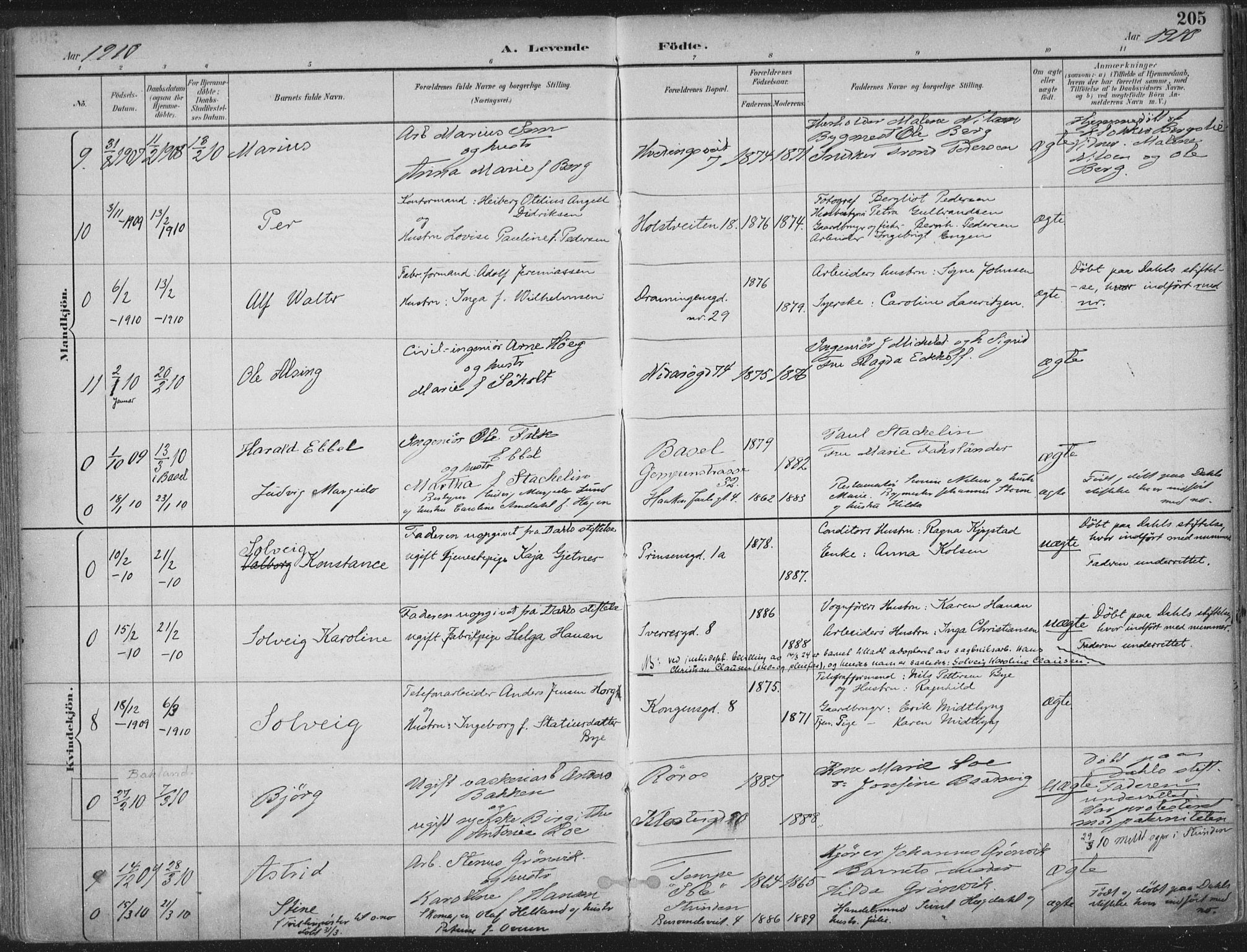 Ministerialprotokoller, klokkerbøker og fødselsregistre - Sør-Trøndelag, SAT/A-1456/601/L0062: Parish register (official) no. 601A30, 1891-1911, p. 205
