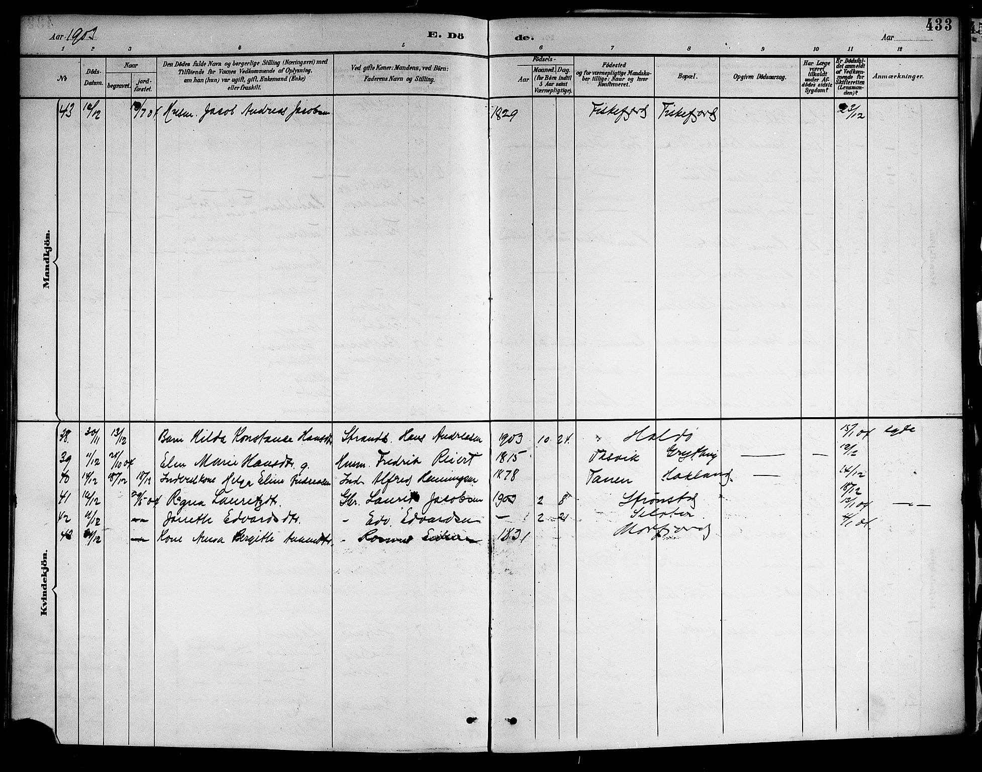 Ministerialprotokoller, klokkerbøker og fødselsregistre - Nordland, AV/SAT-A-1459/888/L1268: Parish register (copy) no. 888C06, 1891-1908, p. 433