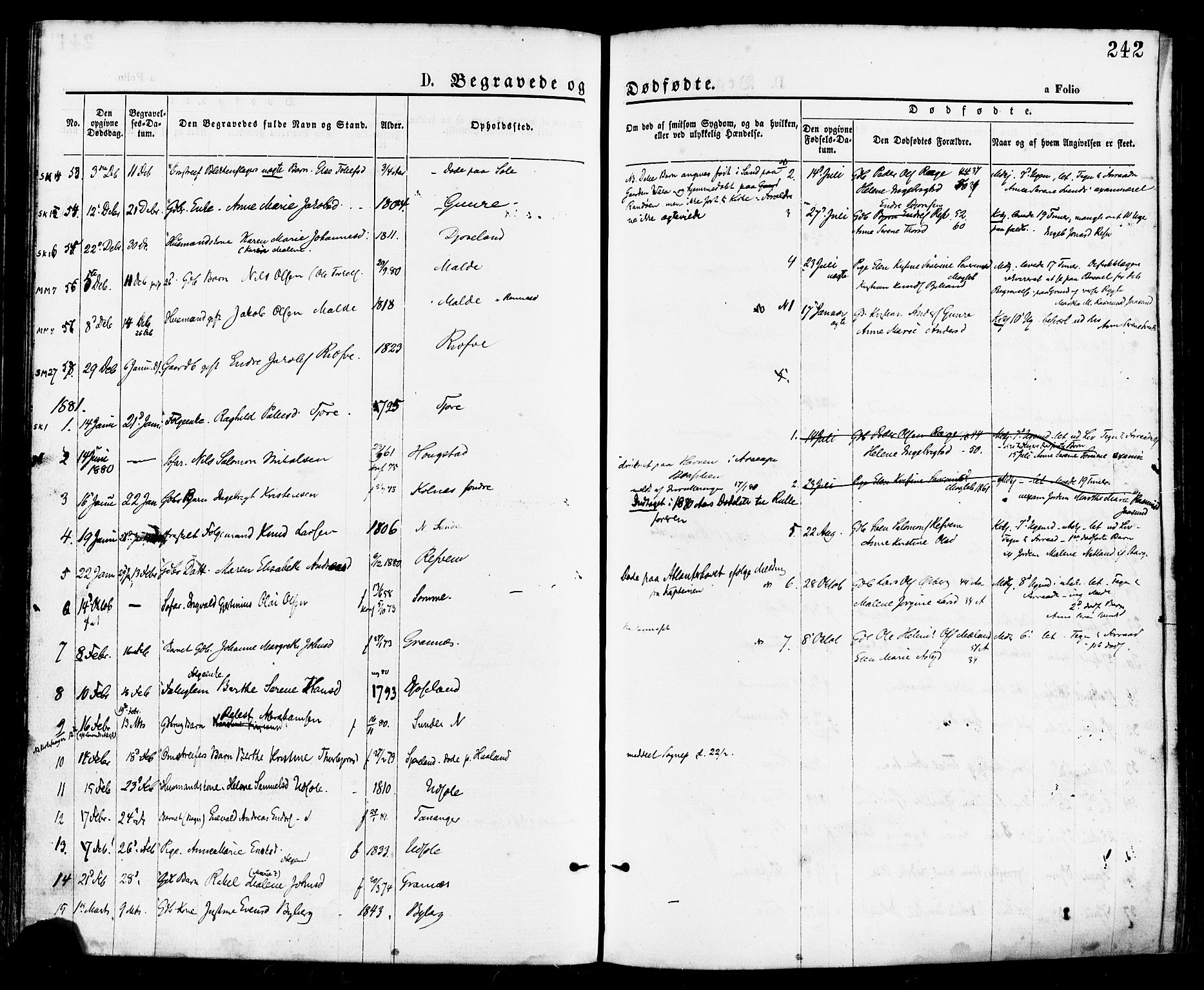 Håland sokneprestkontor, SAST/A-101802/001/30BA/L0009: Parish register (official) no. A 8, 1871-1882, p. 242