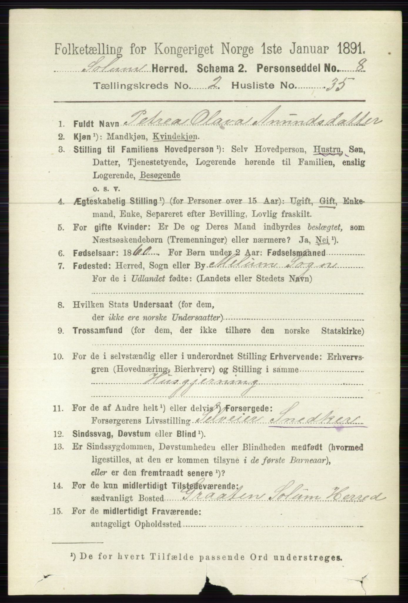 RA, 1891 census for 0818 Solum, 1891, p. 296