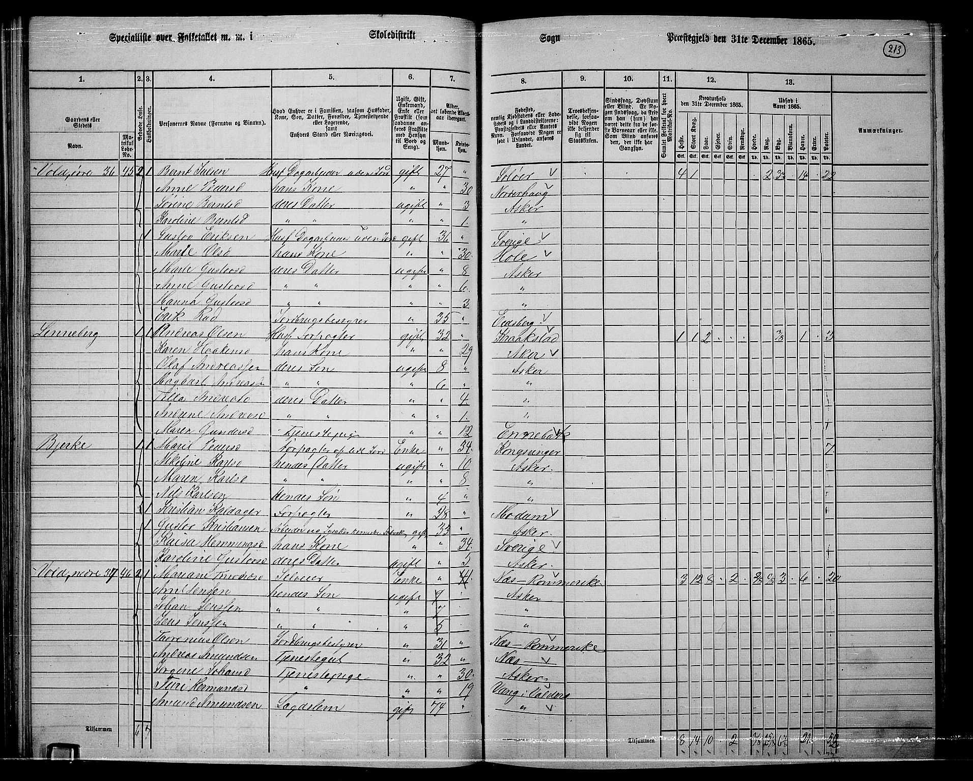 RA, 1865 census for Asker, 1865, p. 205