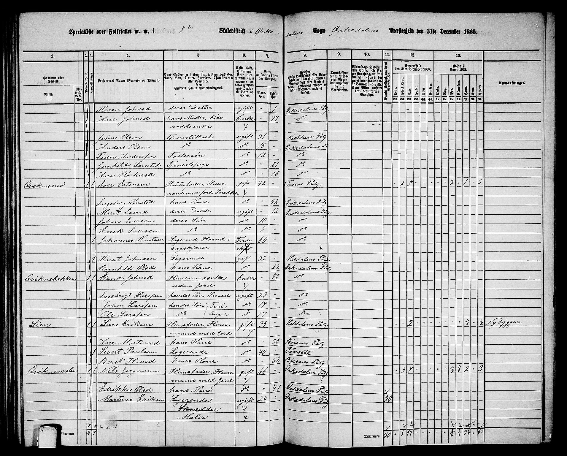 RA, 1865 census for Orkdal, 1865, p. 161