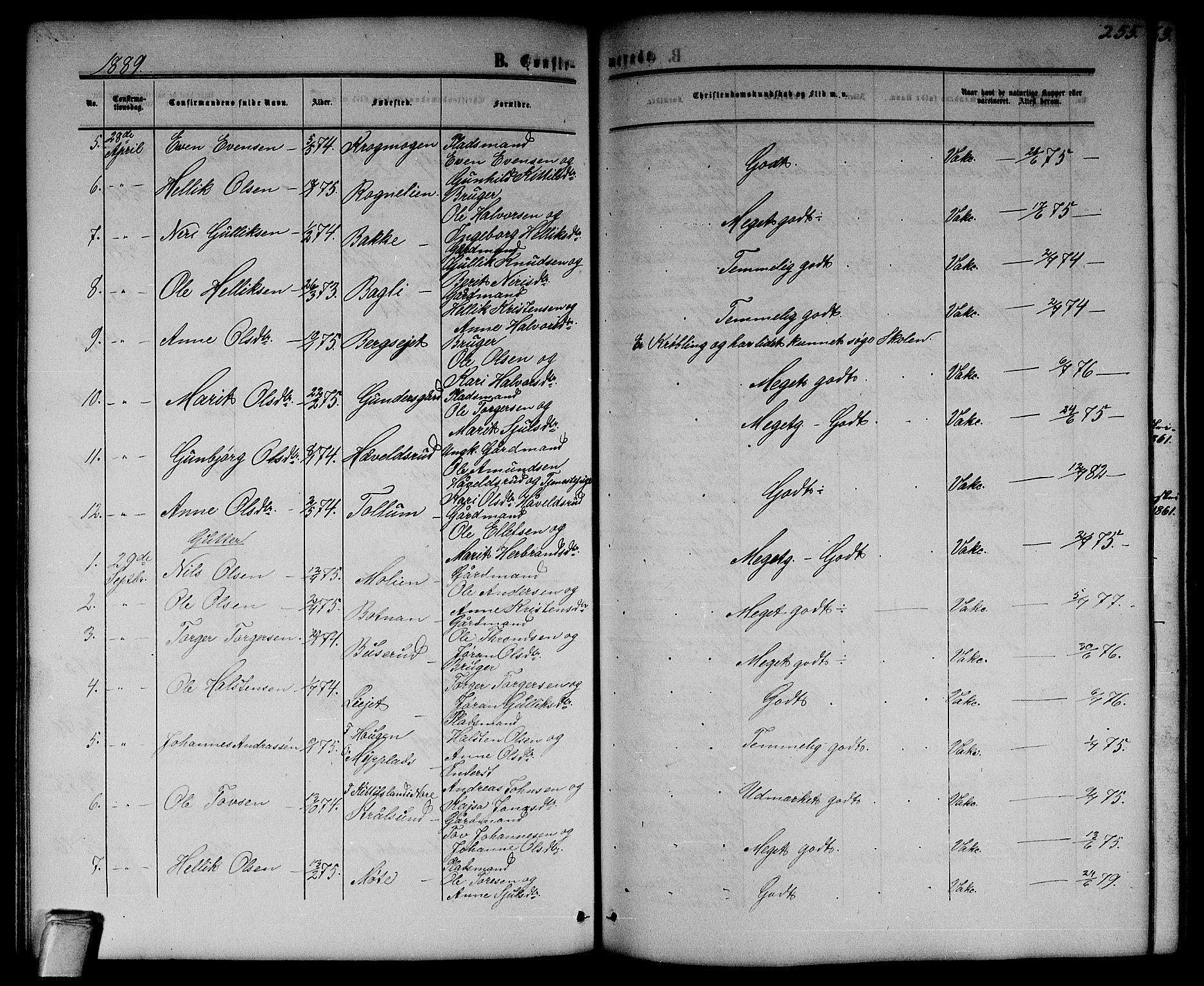 Flesberg kirkebøker, SAKO/A-18/G/Ga/L0003: Parish register (copy) no. I 3, 1861-1889, p. 255