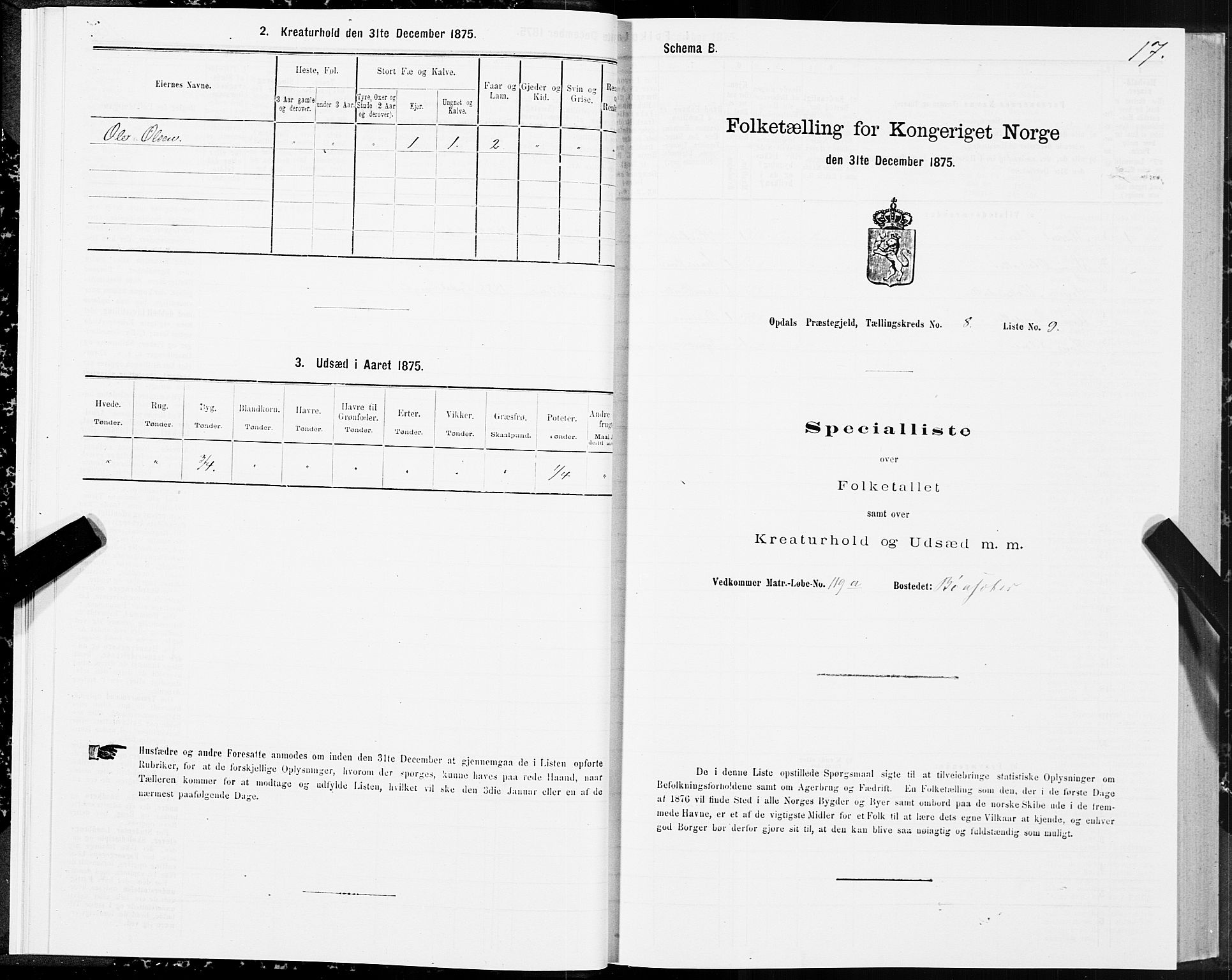 SAT, 1875 census for 1634P Oppdal, 1875, p. 5017