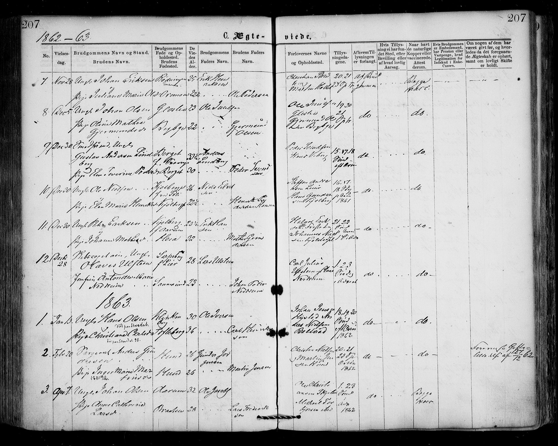 Borge prestekontor Kirkebøker, SAO/A-10903/F/Fa/L0006: Parish register (official) no. I 6, 1861-1874, p. 207