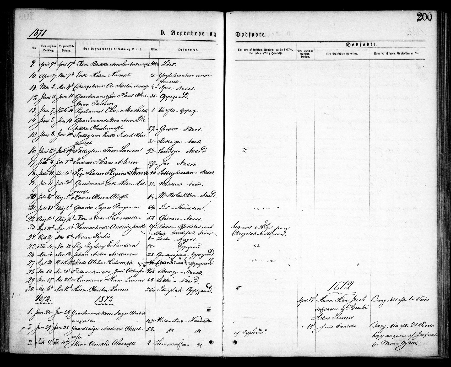 Nesodden prestekontor Kirkebøker, SAO/A-10013/F/Fa/L0008: Parish register (official) no. I 8, 1869-1879, p. 200