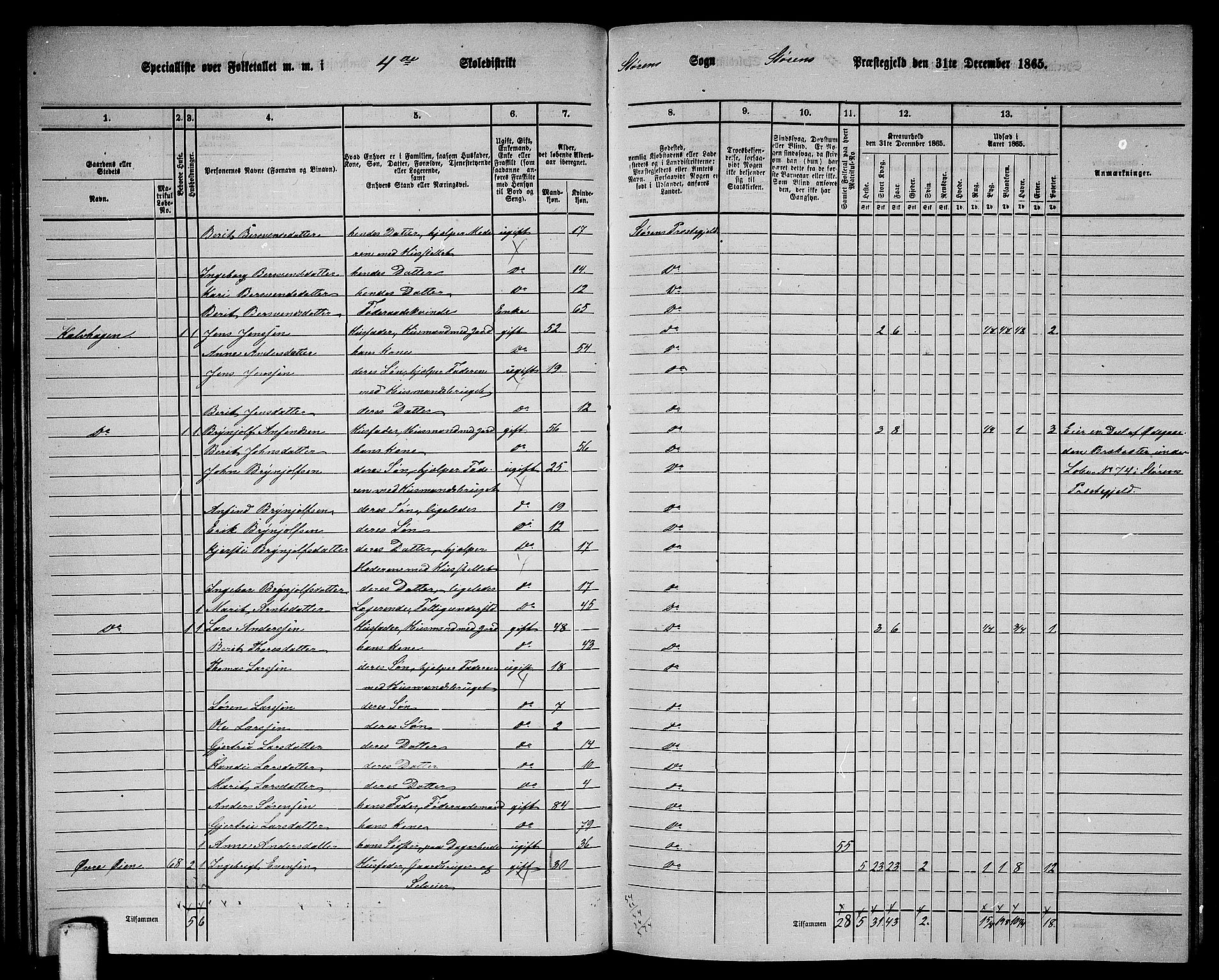 RA, 1865 census for Støren, 1865, p. 69