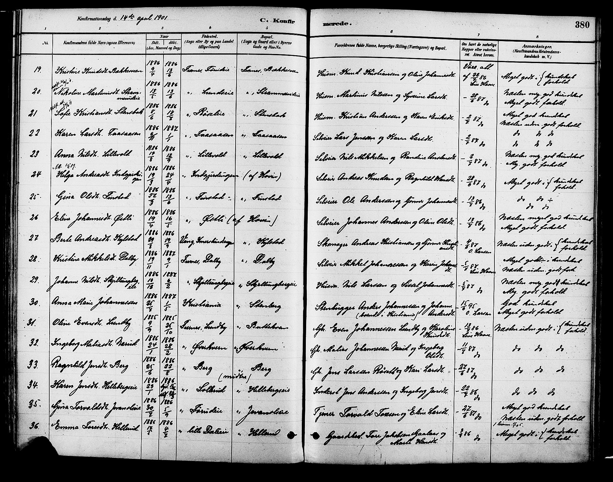 Vang prestekontor, Hedmark, AV/SAH-PREST-008/H/Ha/Haa/L0018B: Parish register (official) no. 18B, 1880-1906, p. 380