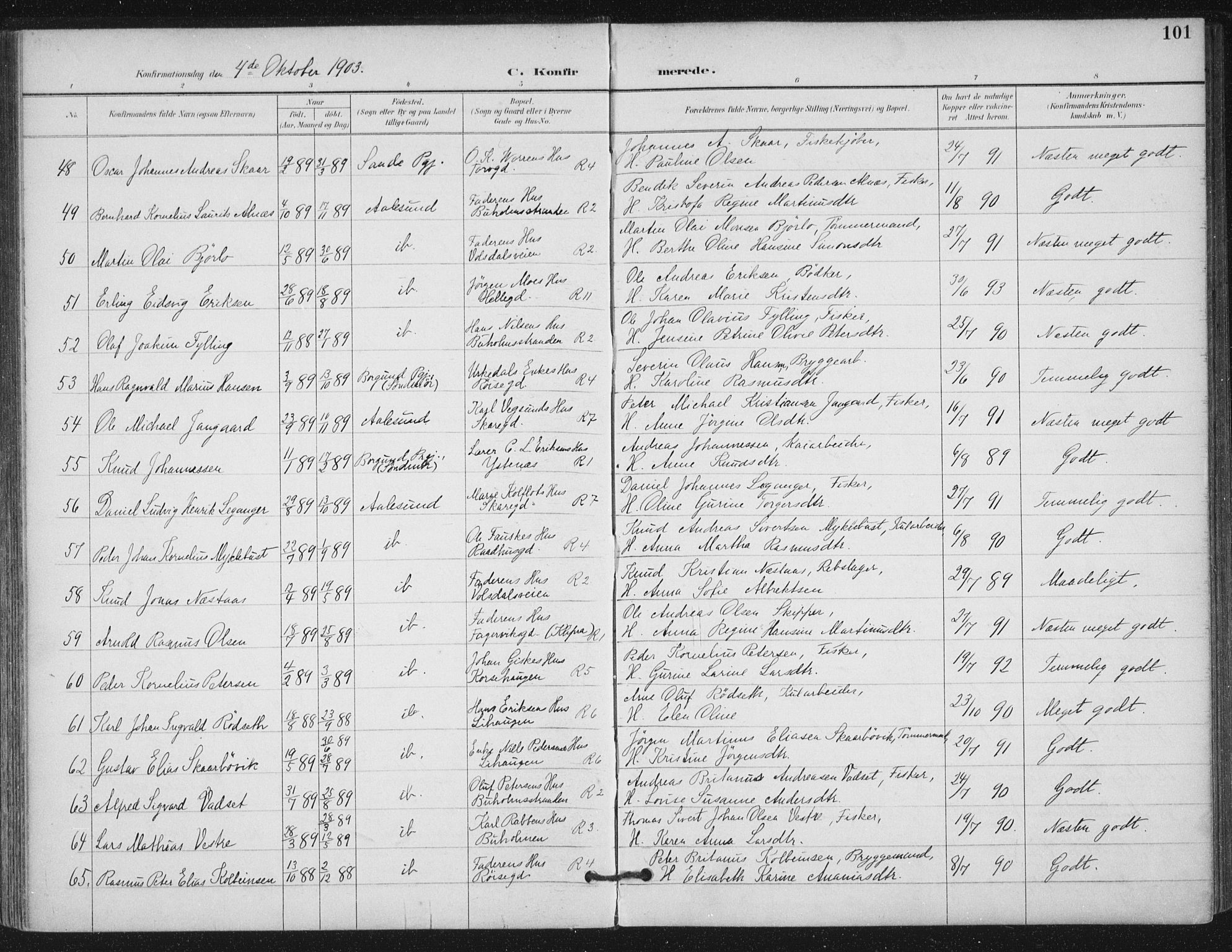 Ministerialprotokoller, klokkerbøker og fødselsregistre - Møre og Romsdal, AV/SAT-A-1454/529/L0457: Parish register (official) no. 529A07, 1894-1903, p. 101