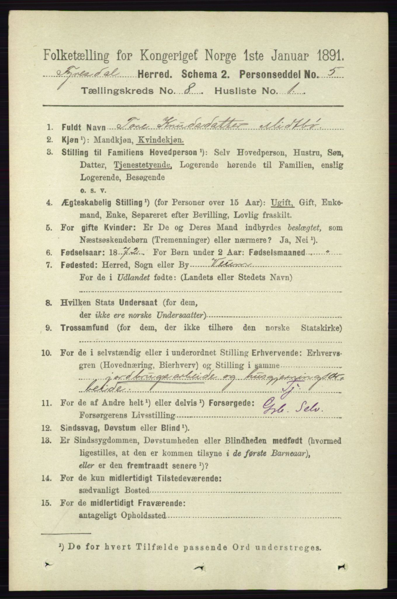 RA, 1891 census for 0831 Fyresdal, 1891, p. 2178