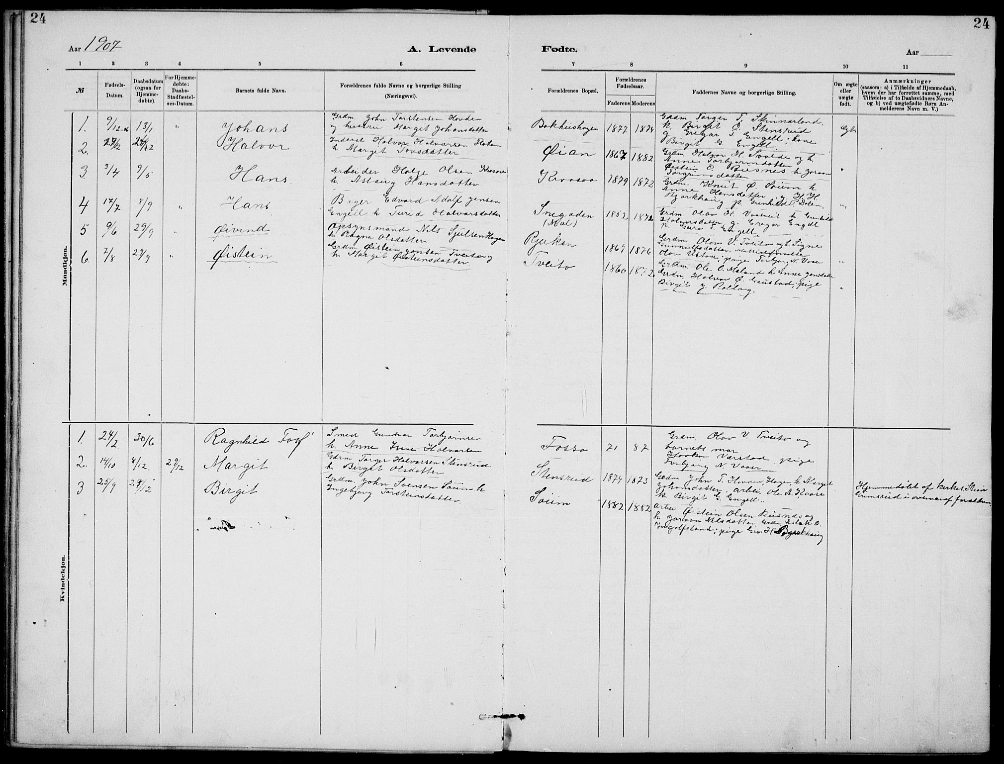 Rjukan kirkebøker, SAKO/A-294/G/Ga/L0001: Parish register (copy) no. 1, 1880-1914, p. 24