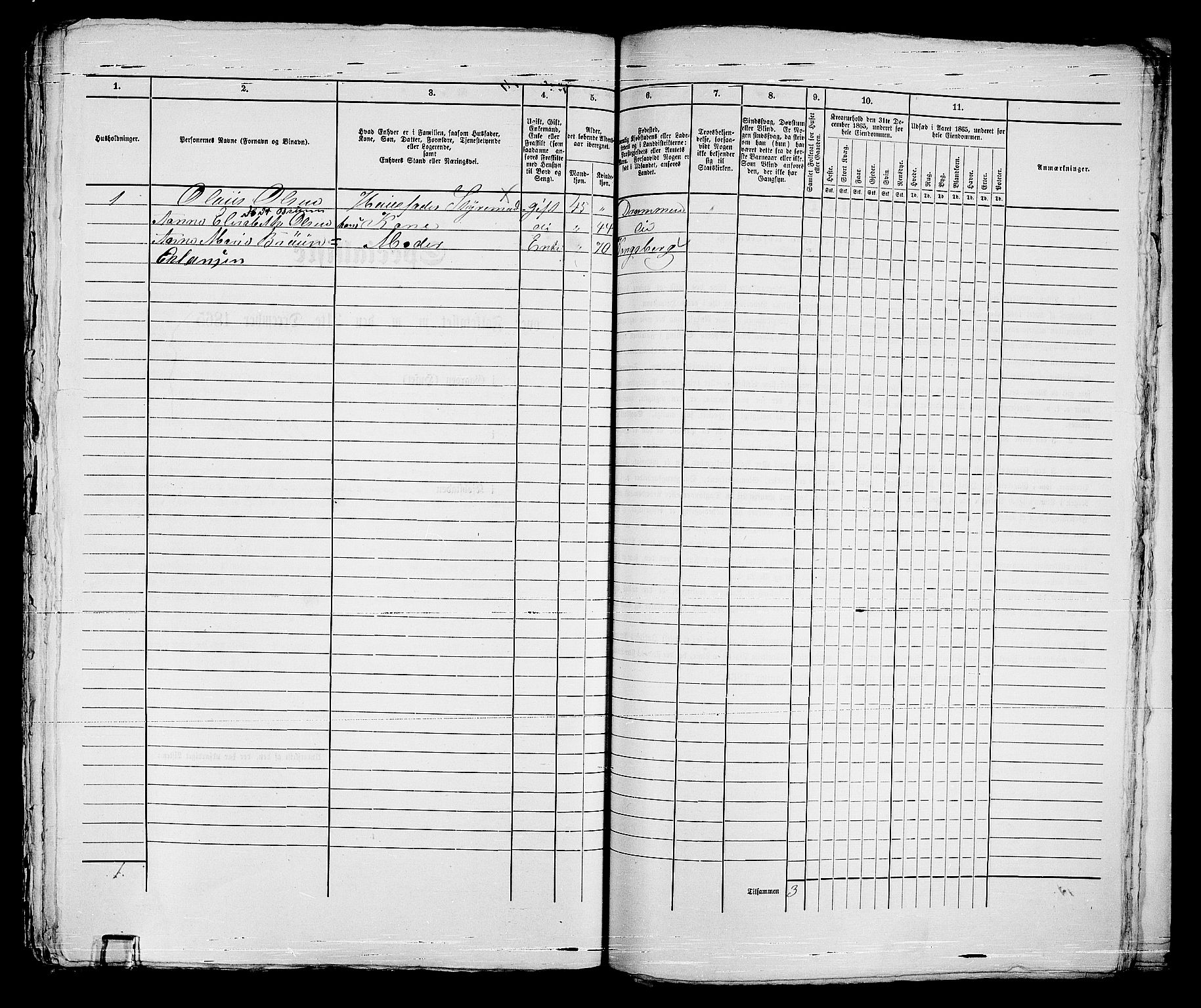 RA, 1865 census for Strømsø in Drammen, 1865, p. 502