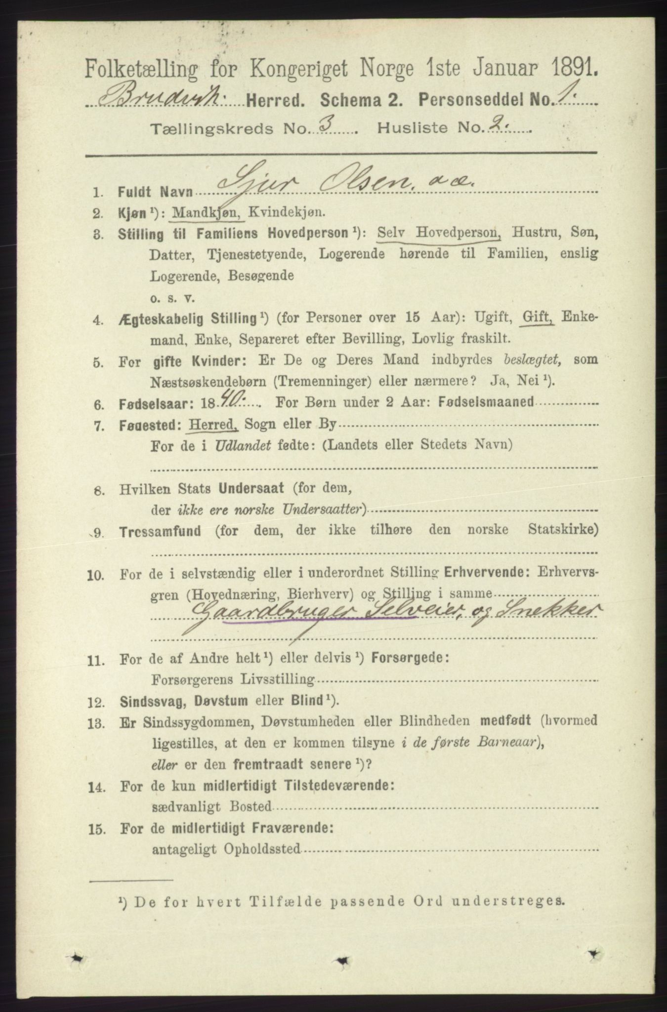 RA, 1891 census for 1251 Bruvik, 1891, p. 828