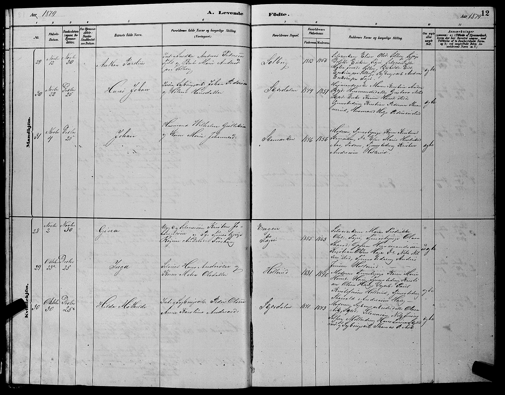 Hole kirkebøker, AV/SAKO-A-228/G/Gb/L0002: Parish register (copy) no. II 2, 1878-1889, p. 12