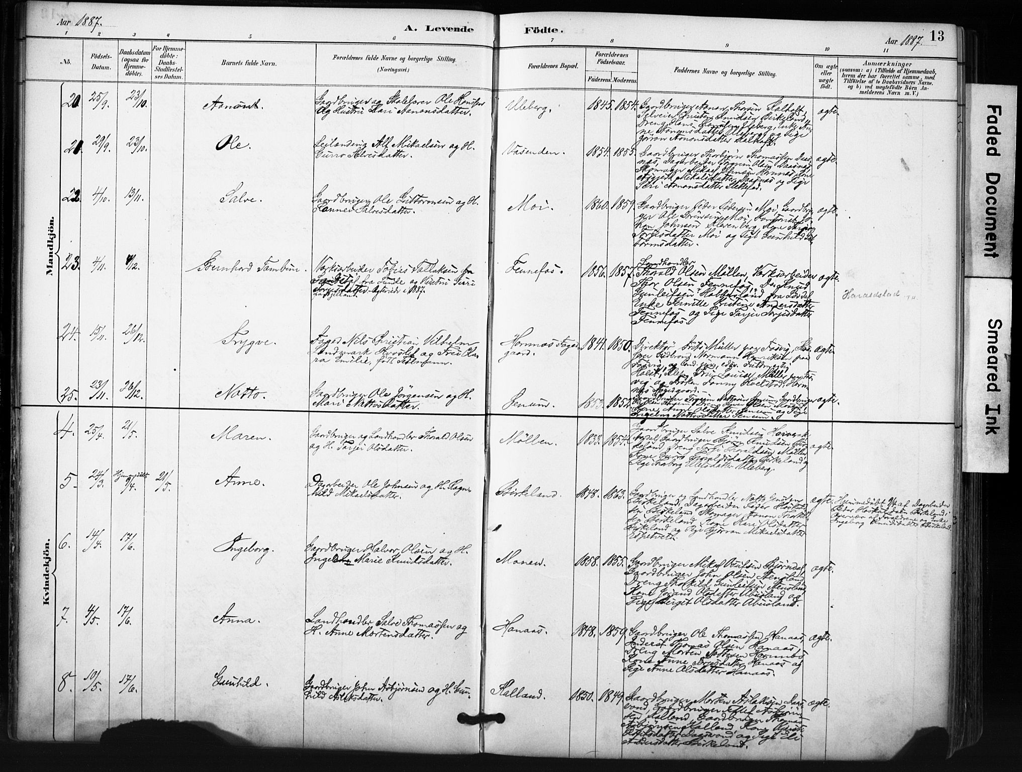 Evje sokneprestkontor, SAK/1111-0008/F/Fa/Fab/L0003: Parish register (official) no. A 3, 1884-1909, p. 13