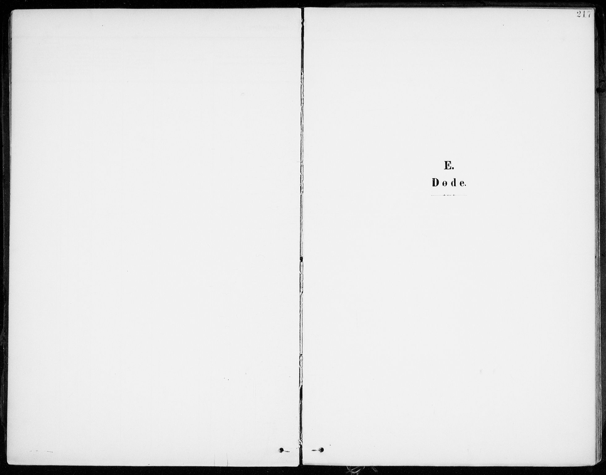Lenvik sokneprestembete, AV/SATØ-S-1310/H/Ha/Haa/L0014kirke: Parish register (official) no. 14, 1899-1909, p. 217