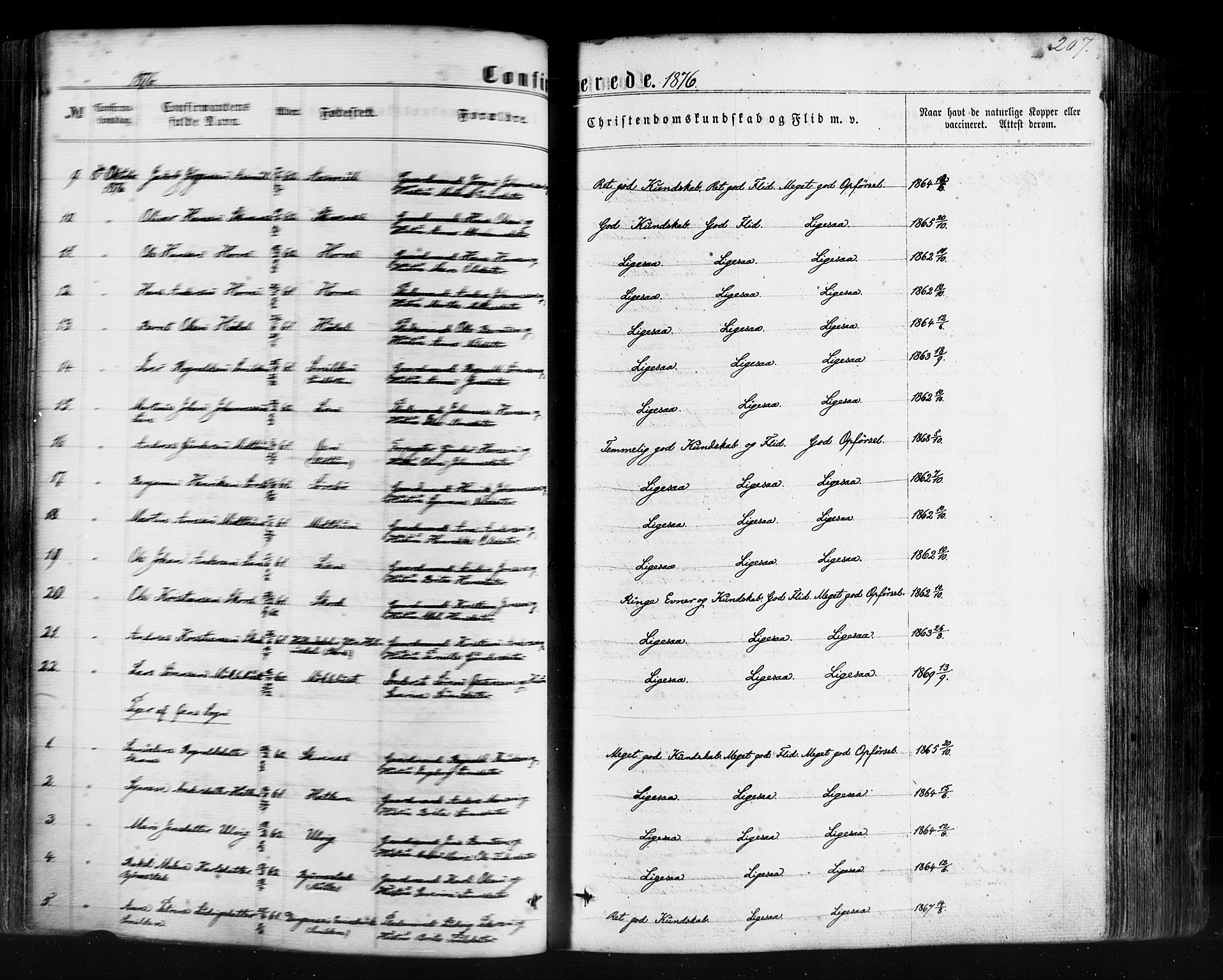 Hyllestad sokneprestembete, AV/SAB-A-80401: Parish register (official) no. A 1, 1861-1886, p. 207