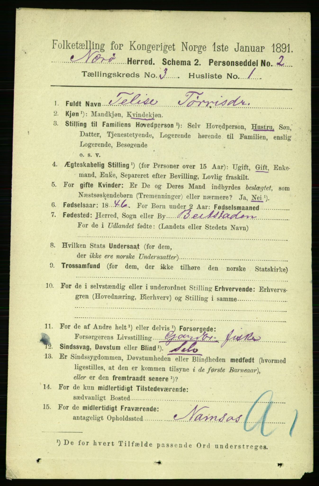 RA, 1891 census for 1751 Nærøy, 1891, p. 1300