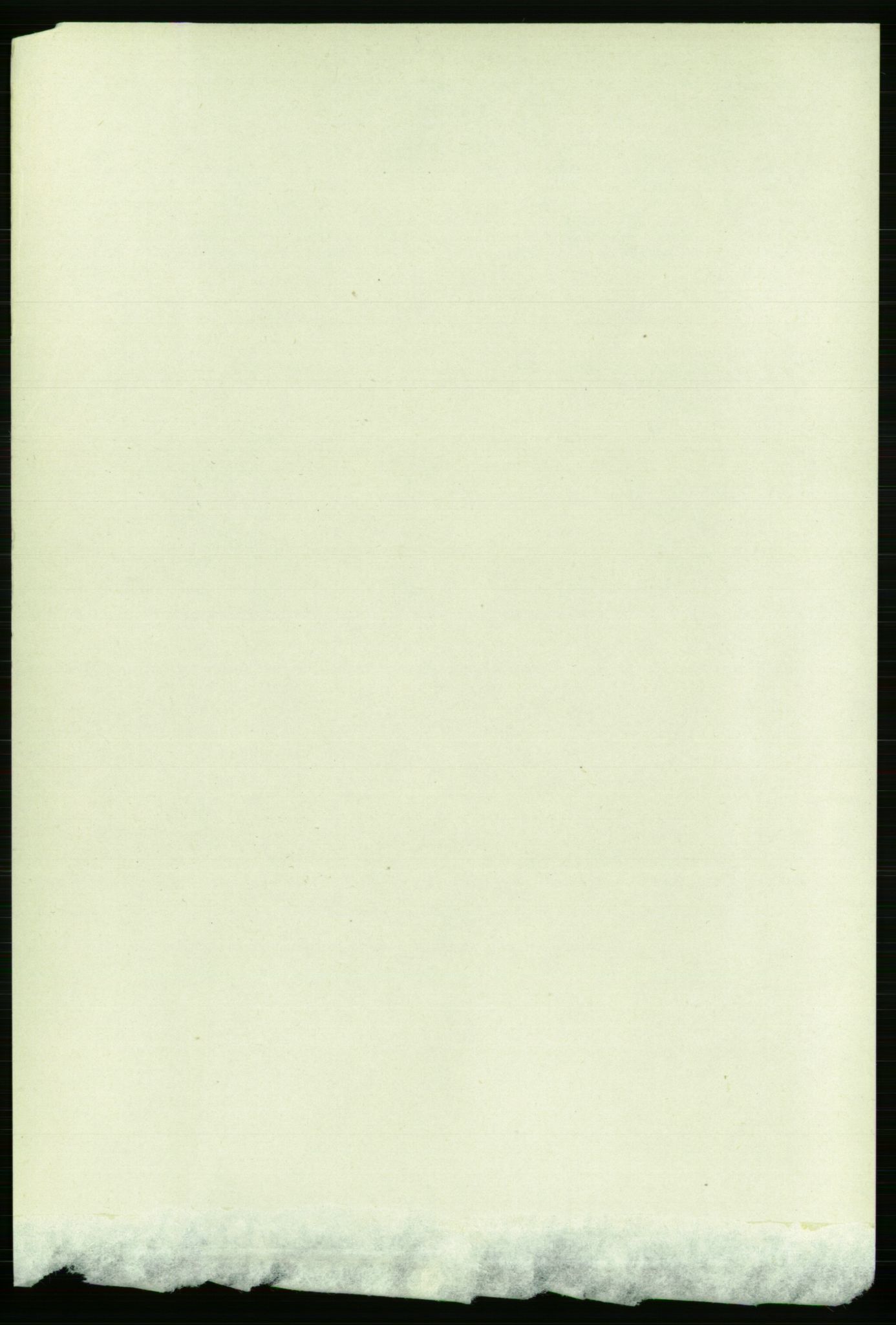 RA, 1891 census for 1501 Ålesund, 1891, p. 4347