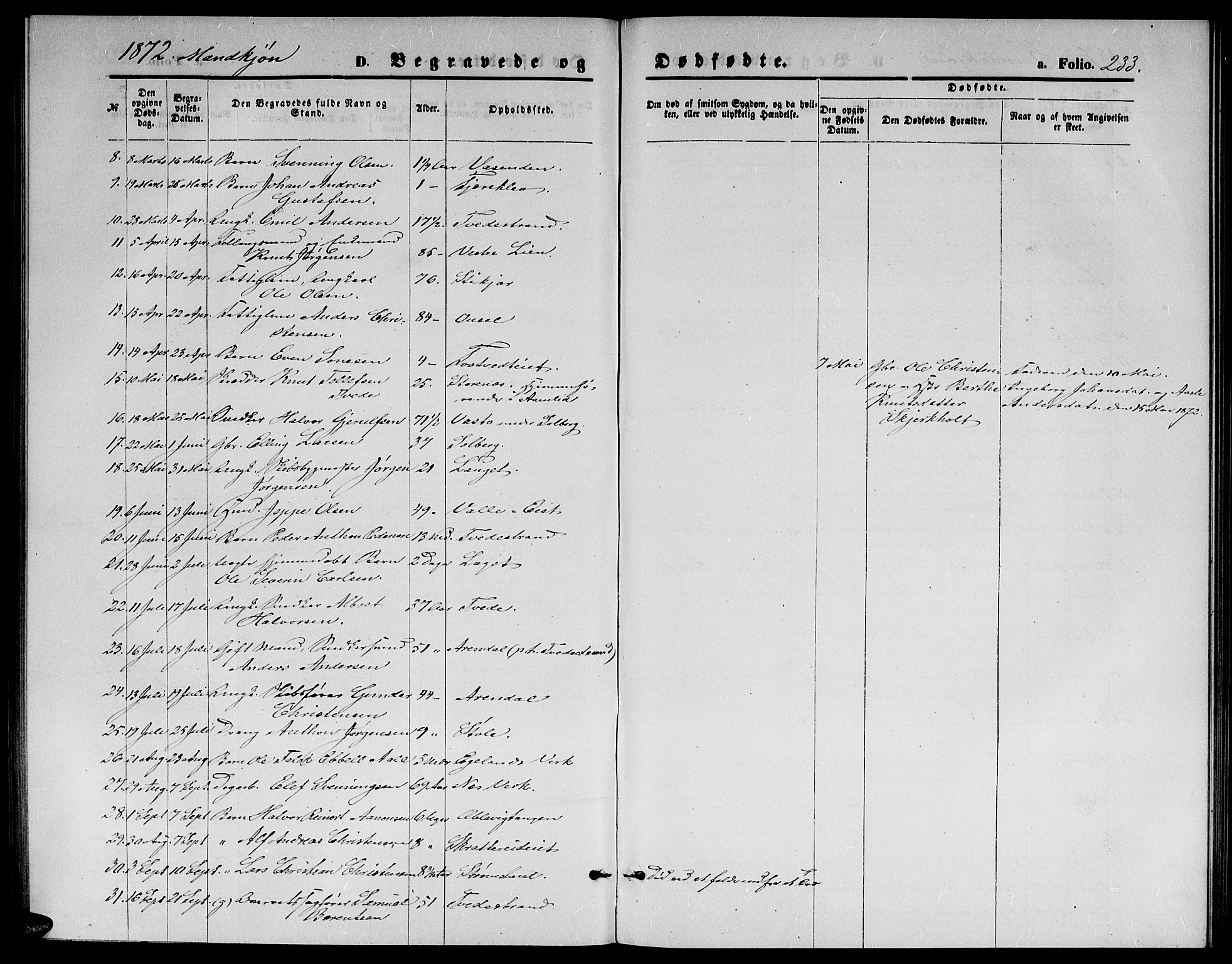 Holt sokneprestkontor, AV/SAK-1111-0021/F/Fb/L0009: Parish register (copy) no. B 9, 1871-1883, p. 233