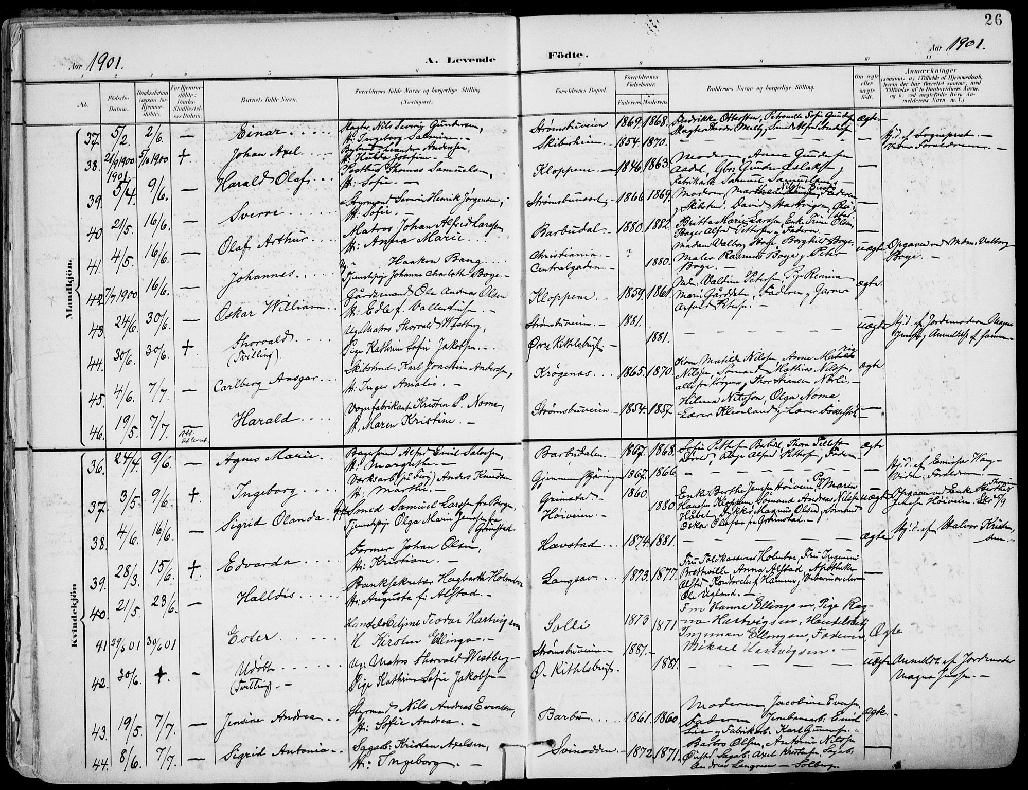 Barbu sokneprestkontor, AV/SAK-1111-0003/F/Fa/L0005: Parish register (official) no. A 5, 1899-1909, p. 26