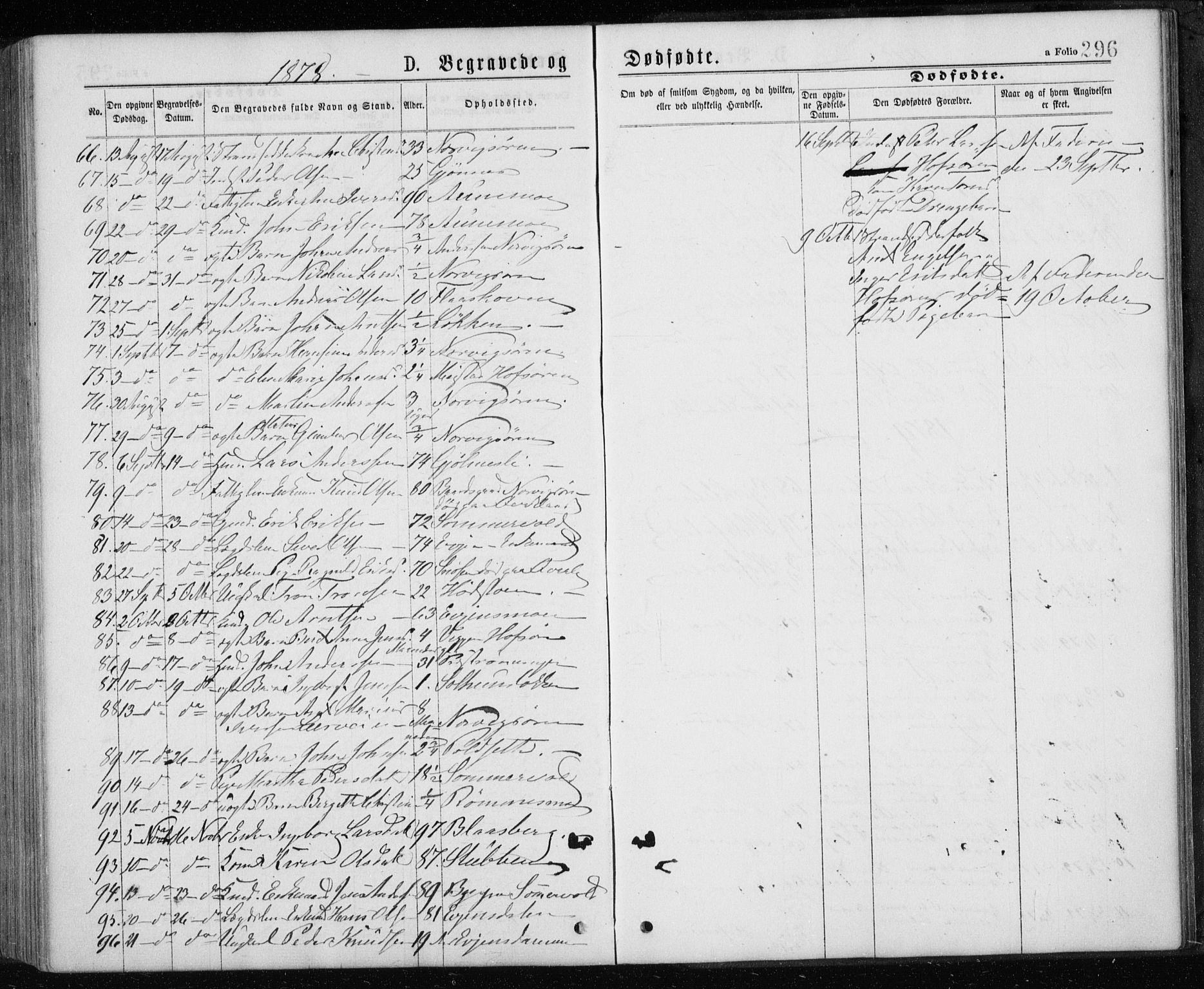 Ministerialprotokoller, klokkerbøker og fødselsregistre - Sør-Trøndelag, SAT/A-1456/668/L0817: Parish register (copy) no. 668C06, 1873-1884, p. 296