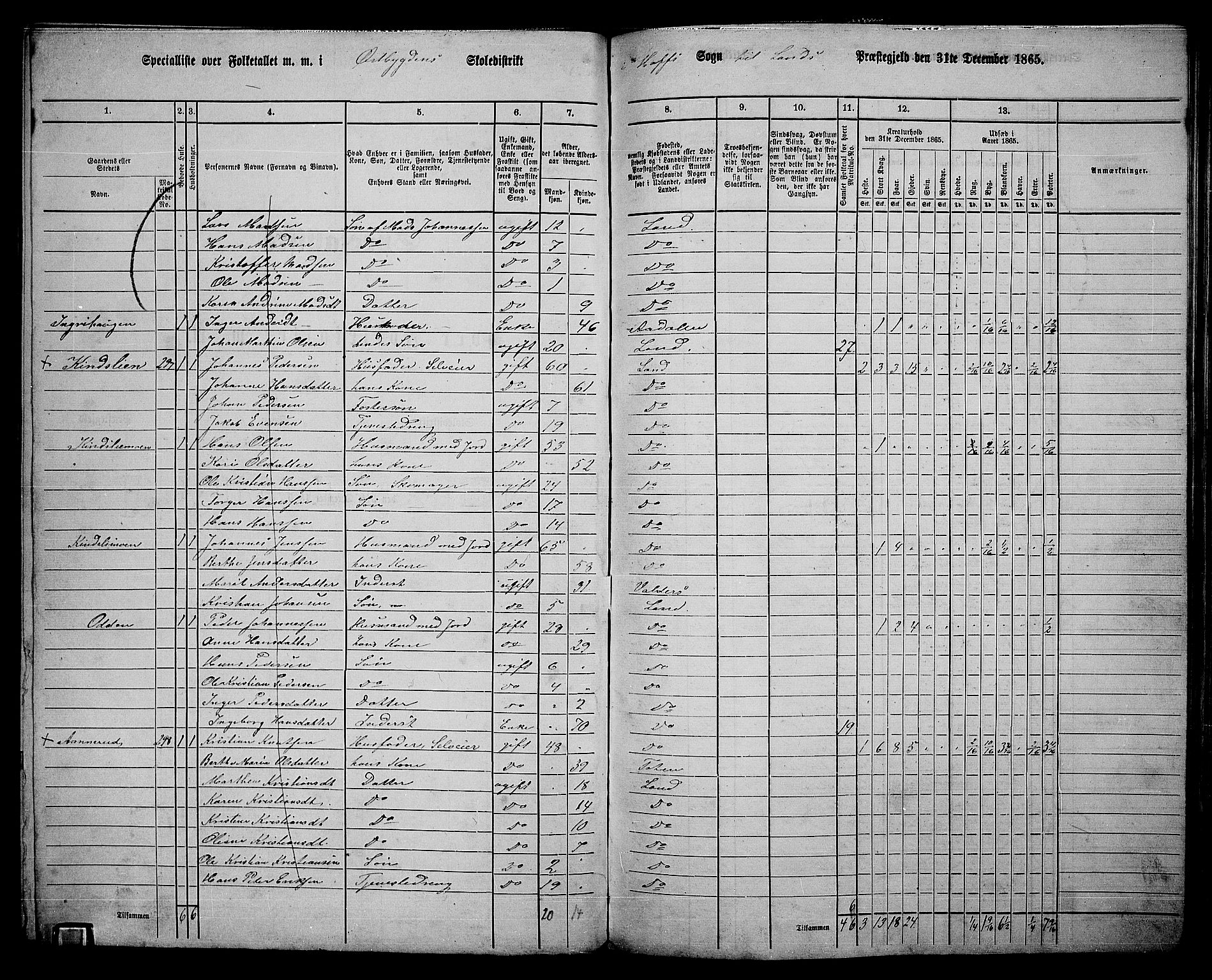 RA, 1865 census for Land, 1865, p. 343