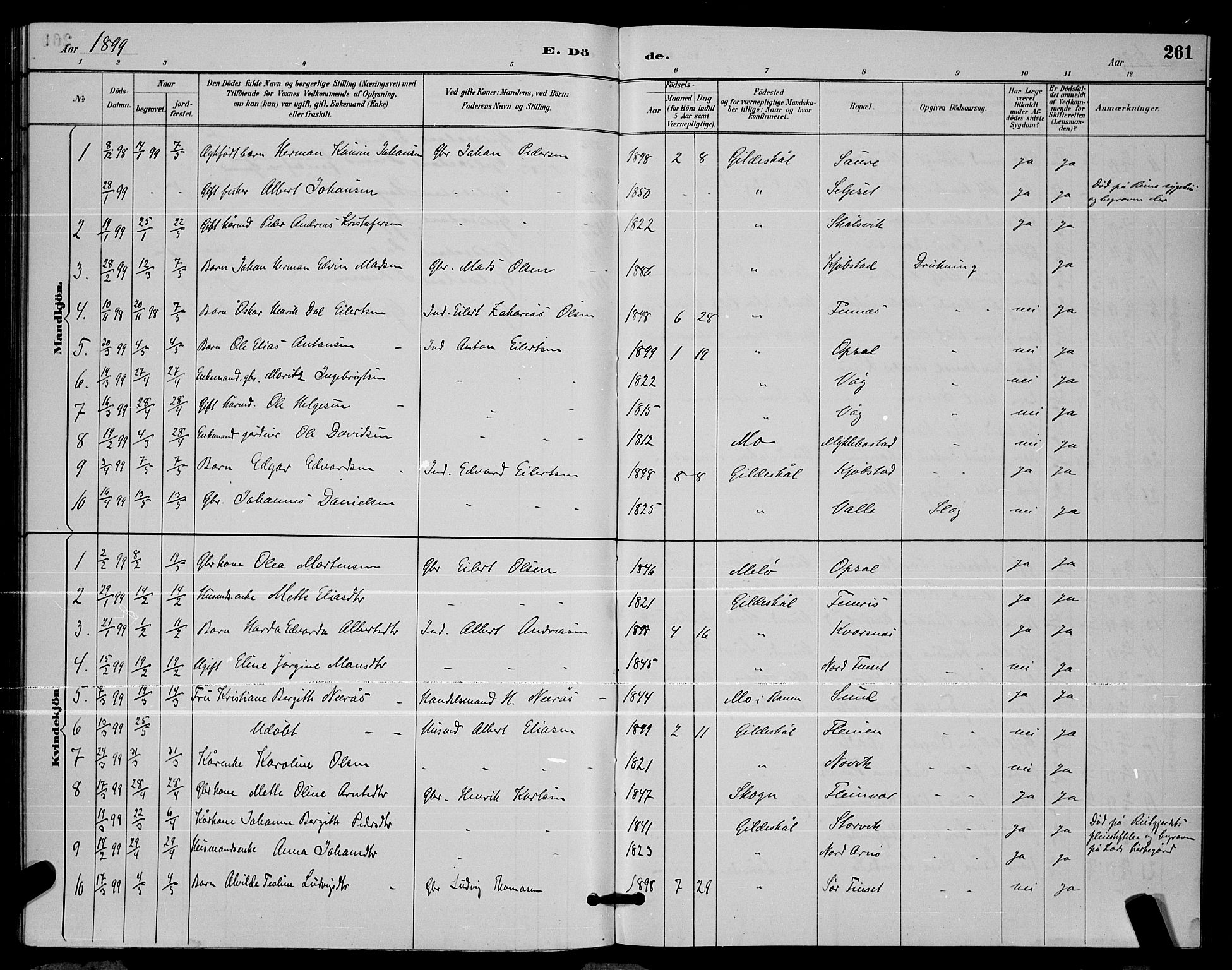 Ministerialprotokoller, klokkerbøker og fødselsregistre - Nordland, AV/SAT-A-1459/805/L0108: Parish register (copy) no. 805C04, 1885-1899, p. 261