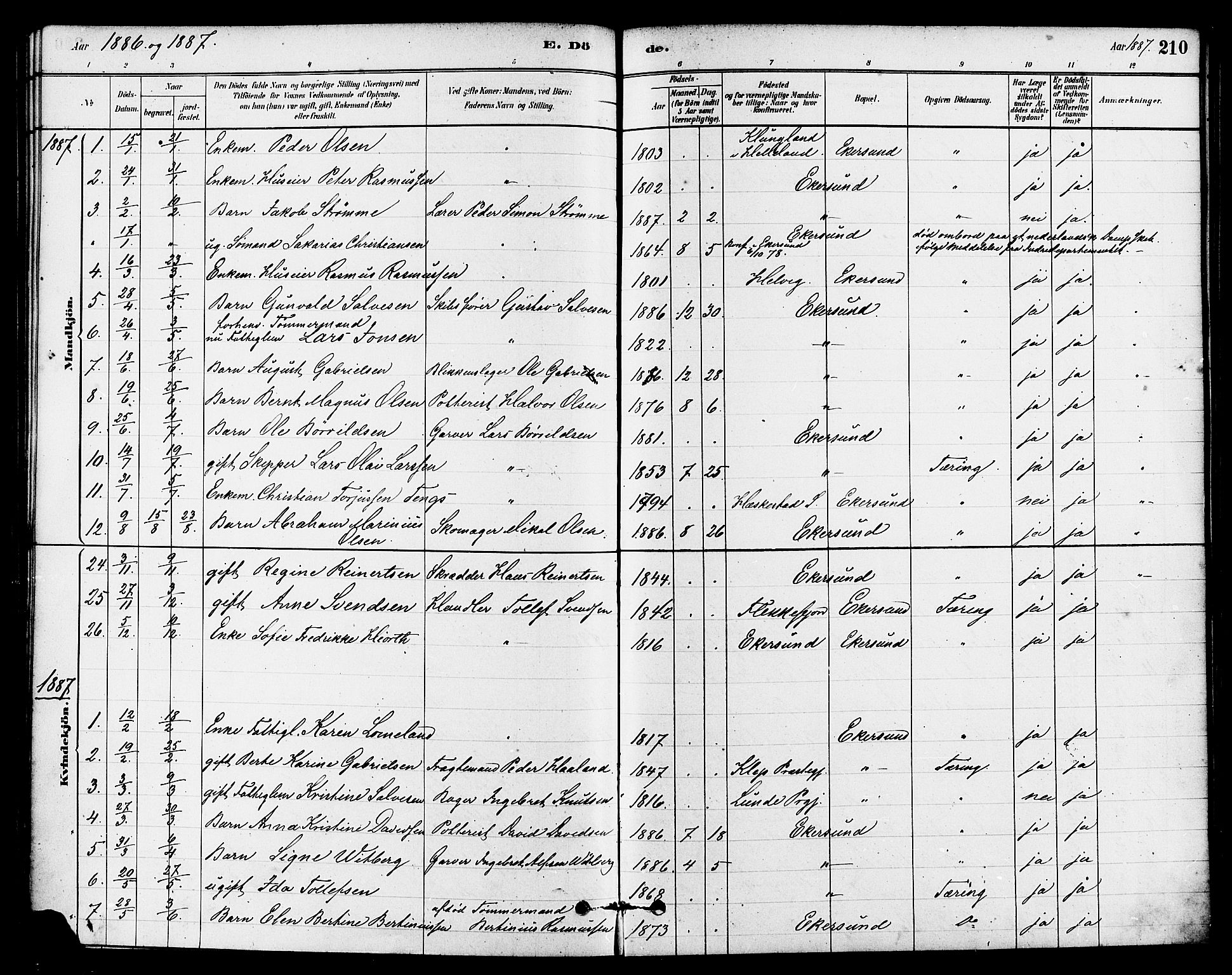 Eigersund sokneprestkontor, SAST/A-101807/S08/L0015: Parish register (official) no. A 15, 1879-1892, p. 210