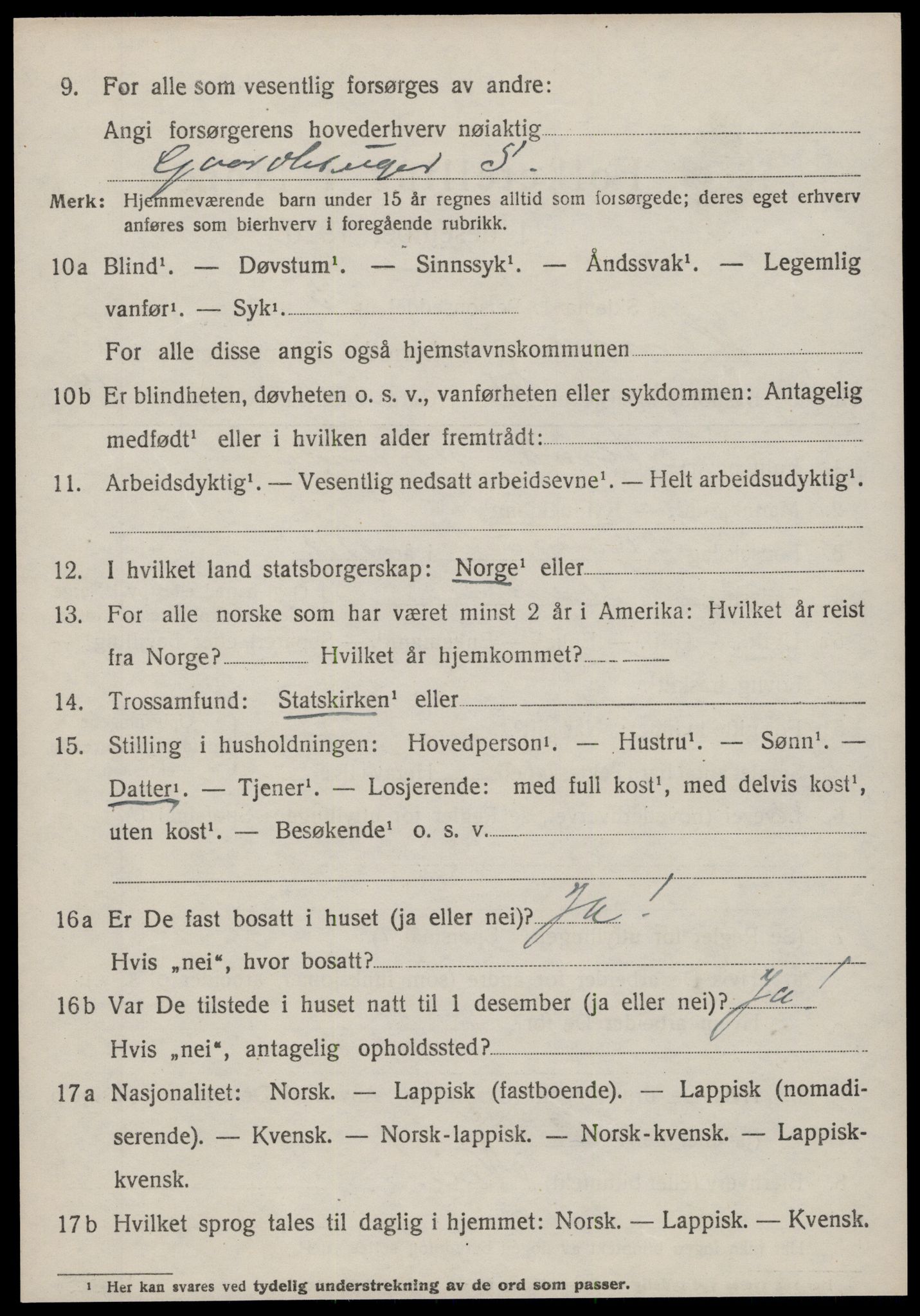 SAT, 1920 census for Hemne, 1920, p. 5029