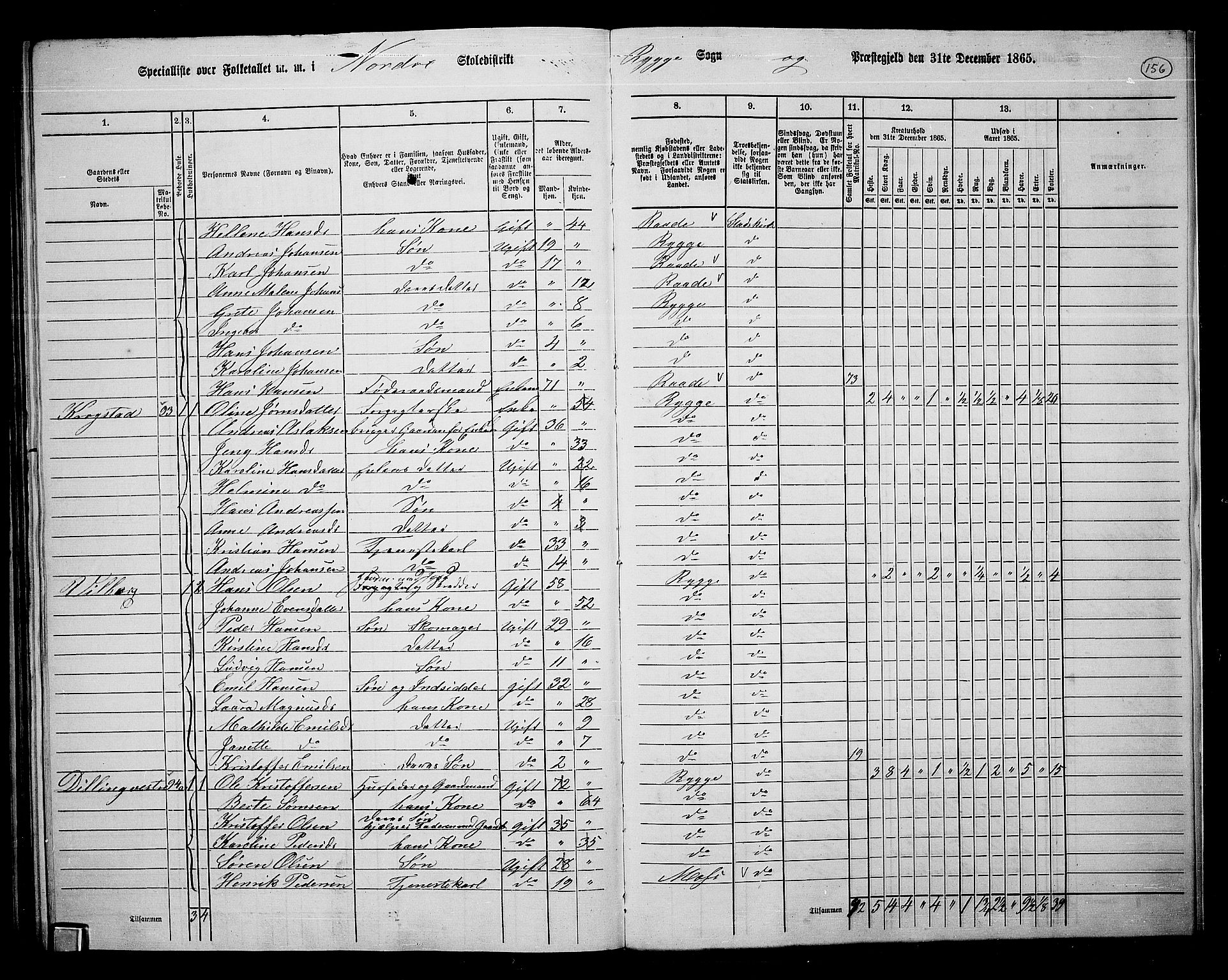 RA, 1865 census for Rygge, 1865, p. 97