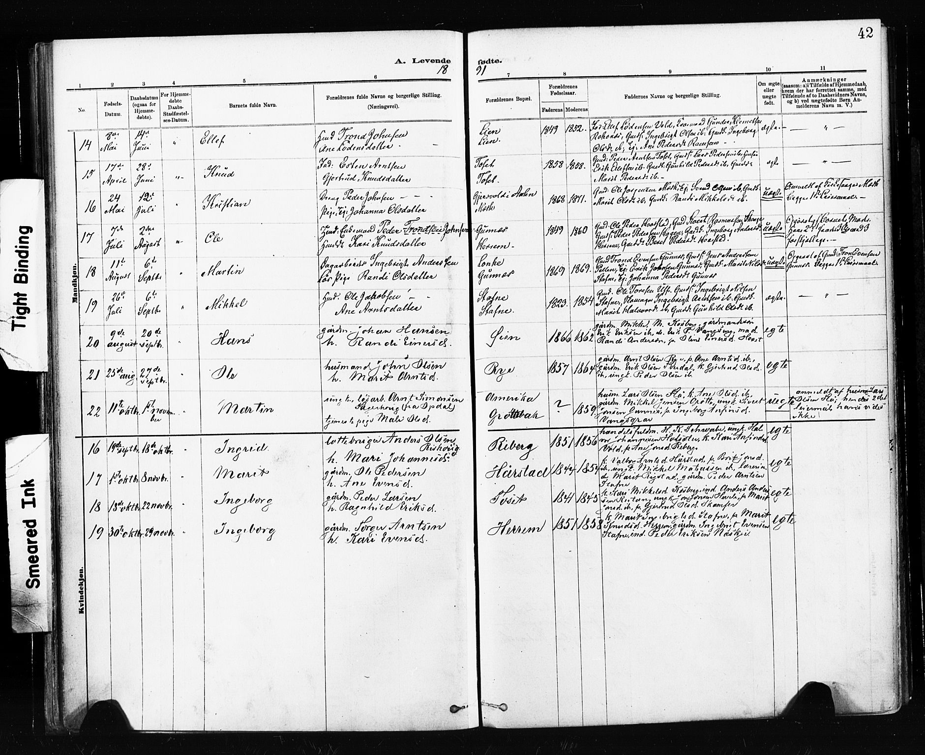 Ministerialprotokoller, klokkerbøker og fødselsregistre - Sør-Trøndelag, AV/SAT-A-1456/674/L0871: Parish register (official) no. 674A03, 1880-1896, p. 42