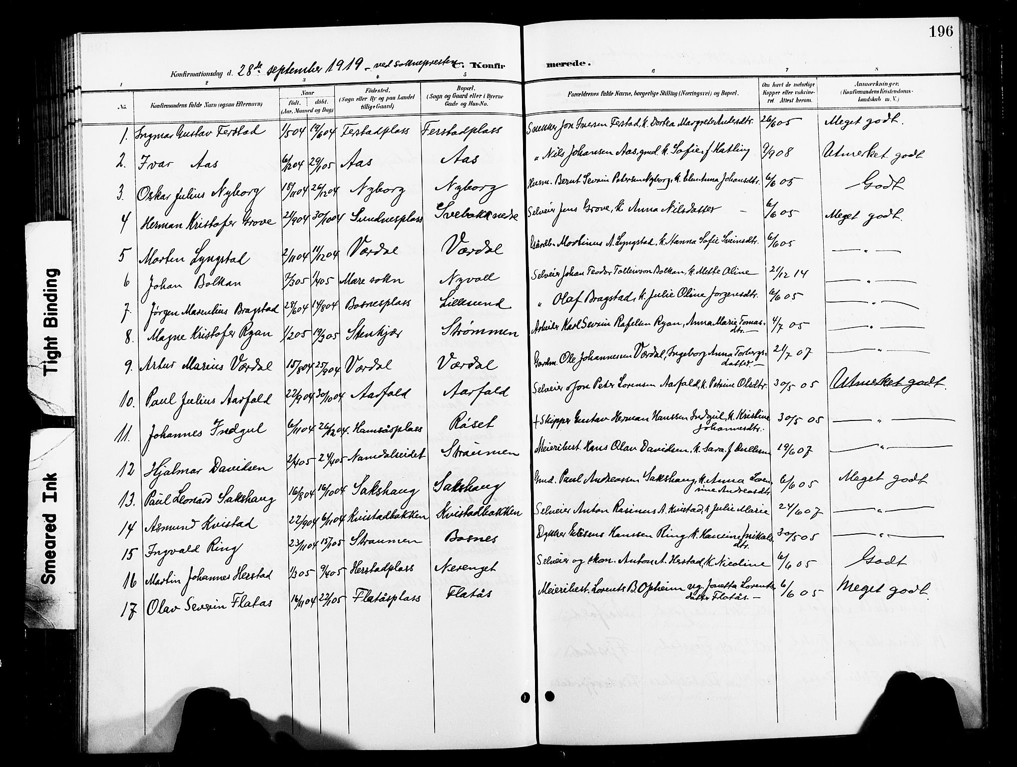 Ministerialprotokoller, klokkerbøker og fødselsregistre - Nord-Trøndelag, AV/SAT-A-1458/730/L0302: Parish register (copy) no. 730C05, 1898-1924, p. 196