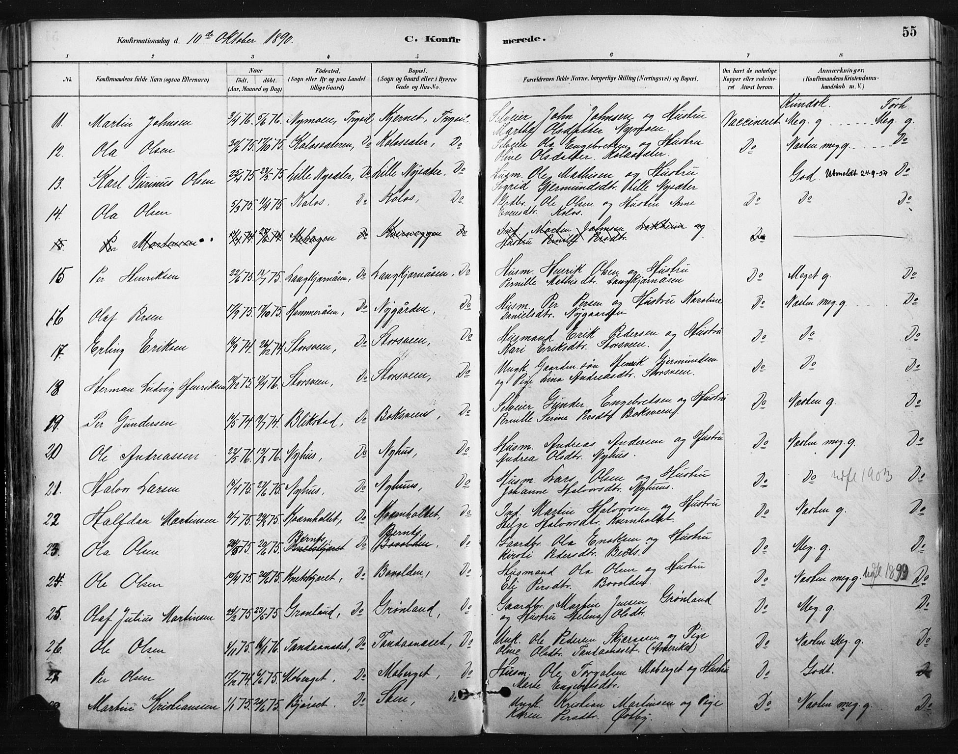 Trysil prestekontor, AV/SAH-PREST-046/H/Ha/Haa/L0009: Parish register (official) no. 9, 1881-1897, p. 55