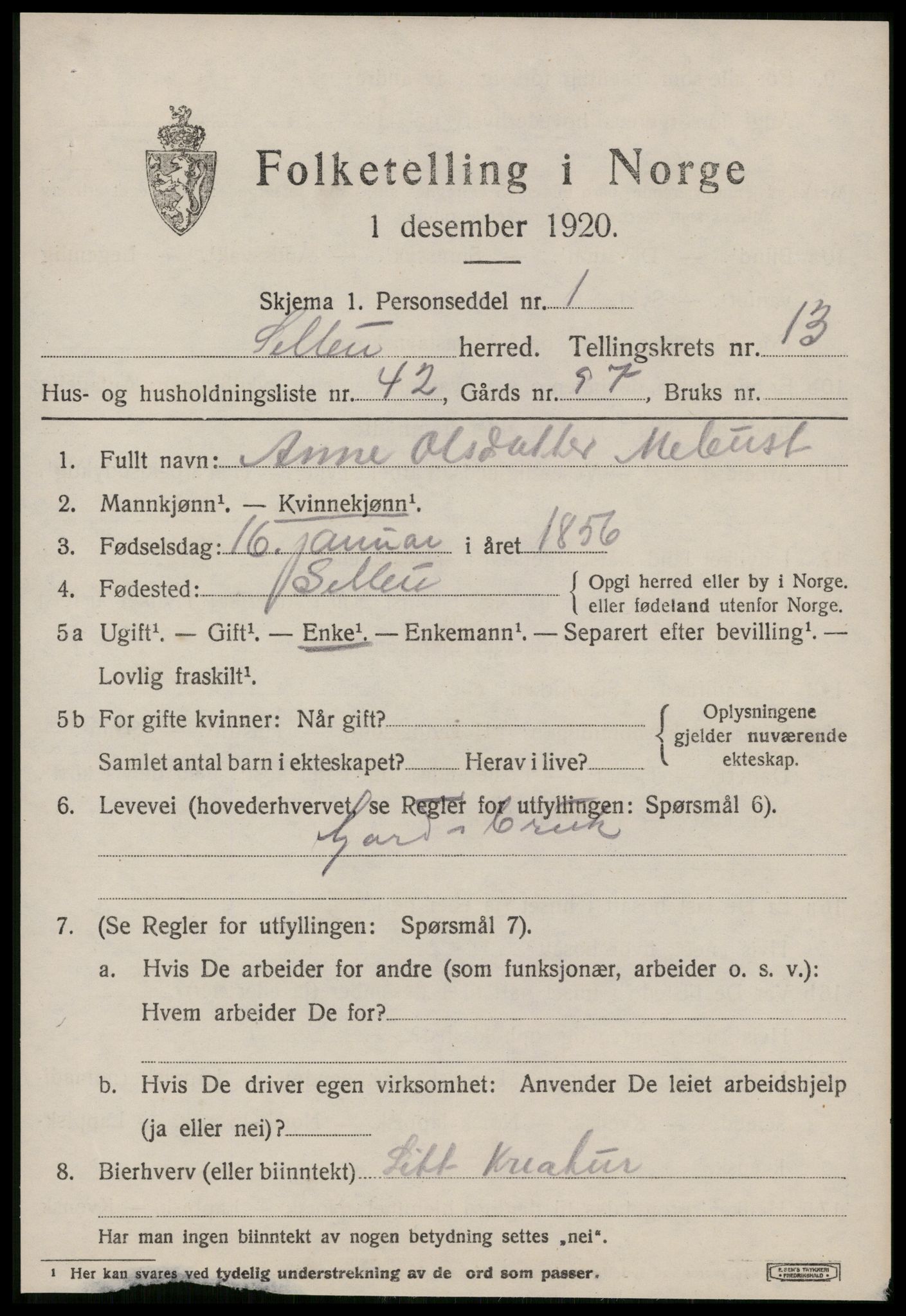 SAT, 1920 census for Selbu, 1920, p. 7446