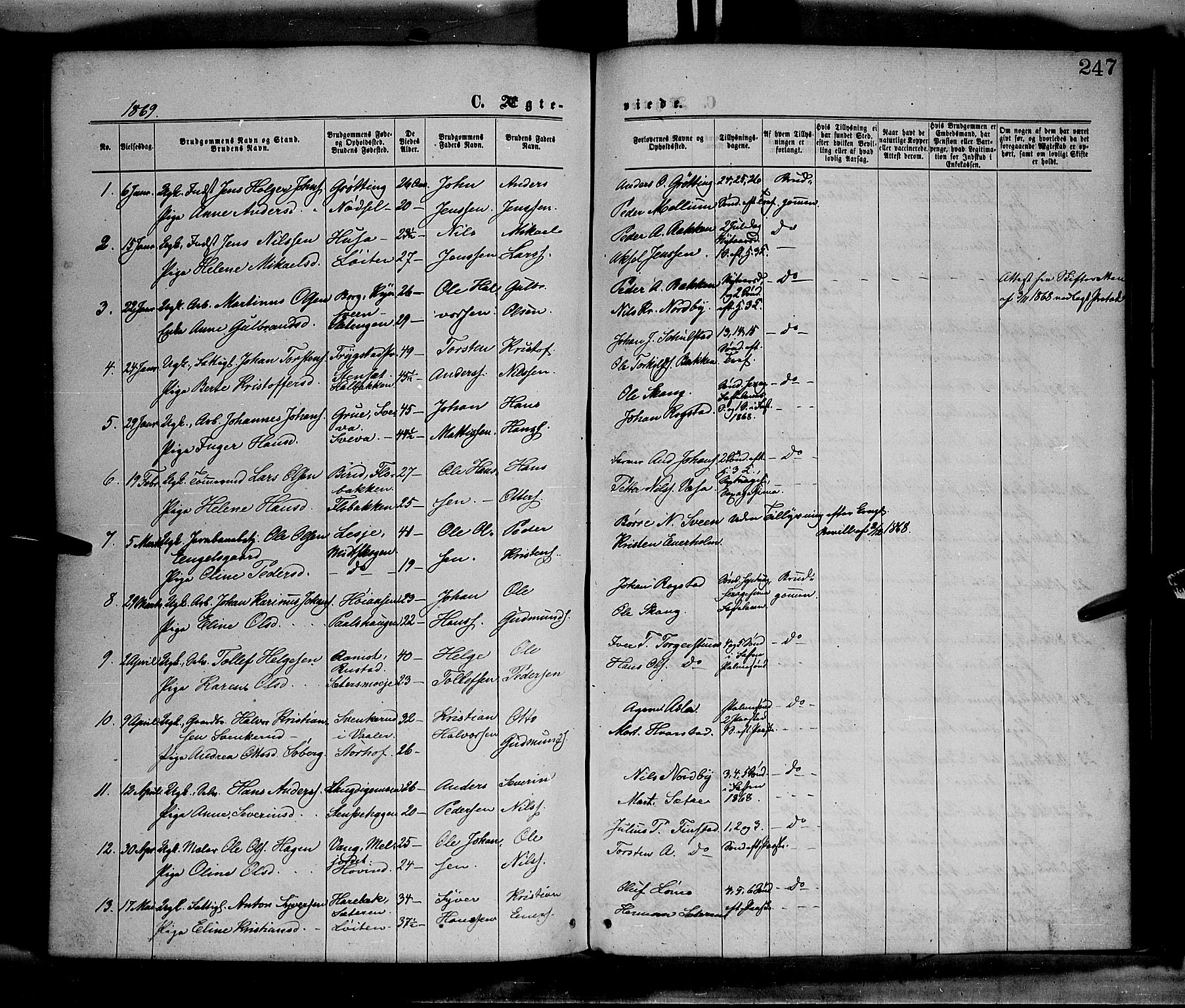 Elverum prestekontor, SAH/PREST-044/H/Ha/Haa/L0011: Parish register (official) no. 11, 1869-1879, p. 247