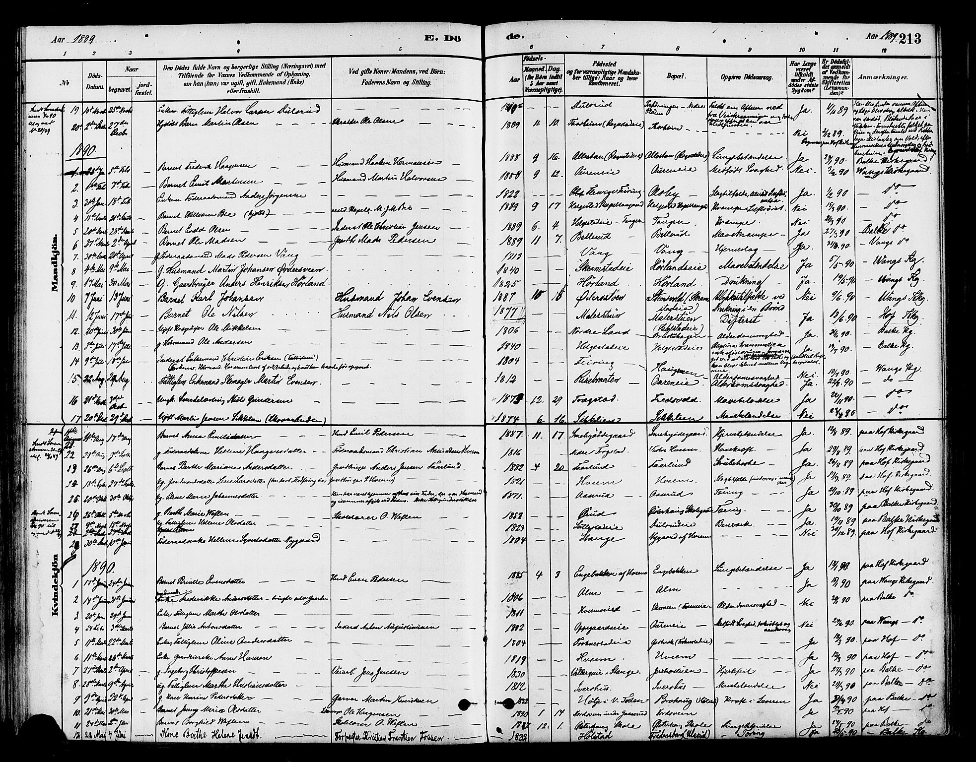 Østre Toten prestekontor, AV/SAH-PREST-104/H/Ha/Haa/L0007: Parish register (official) no. 7, 1881-1896, p. 213