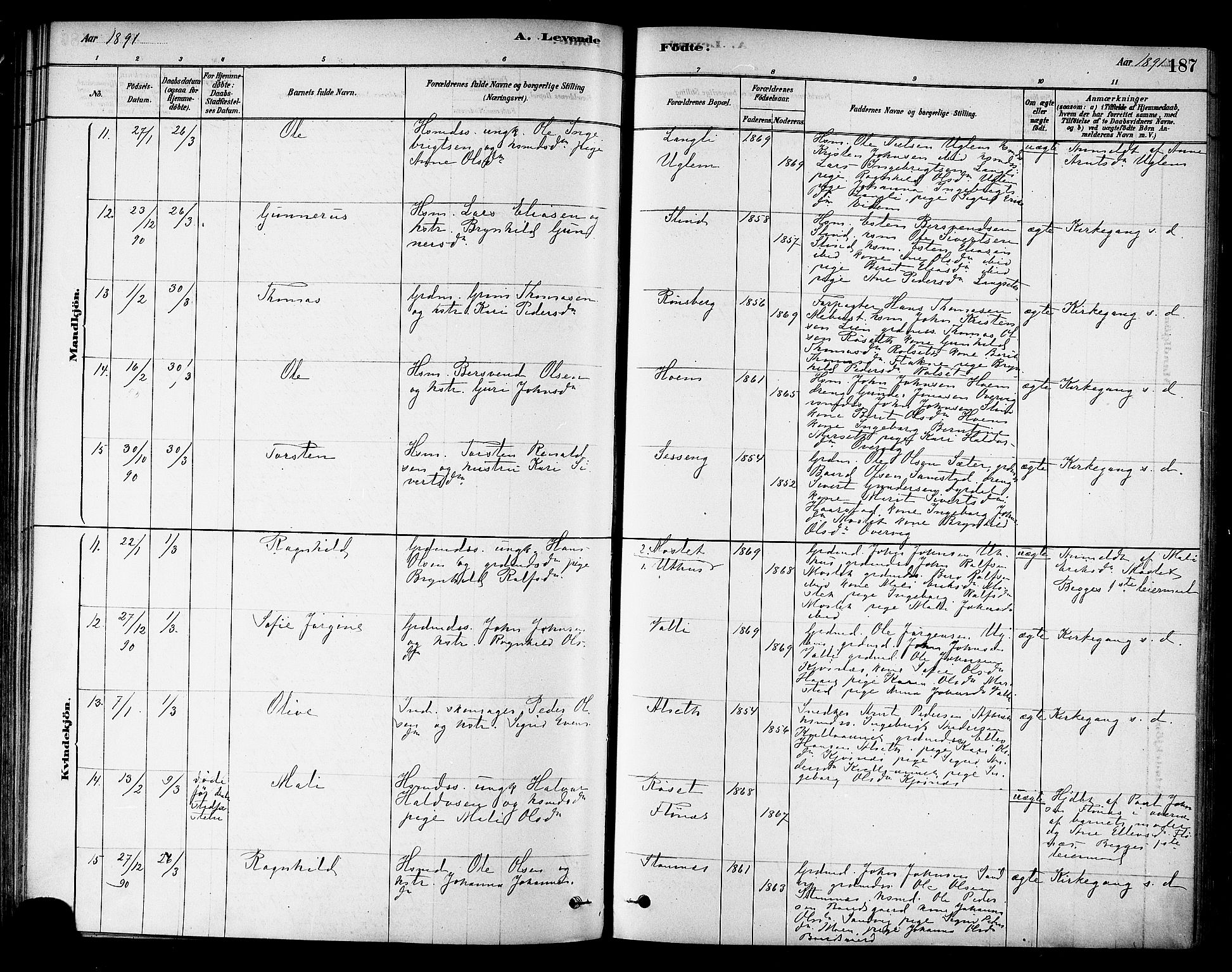 Ministerialprotokoller, klokkerbøker og fødselsregistre - Sør-Trøndelag, AV/SAT-A-1456/695/L1148: Parish register (official) no. 695A08, 1878-1891, p. 187